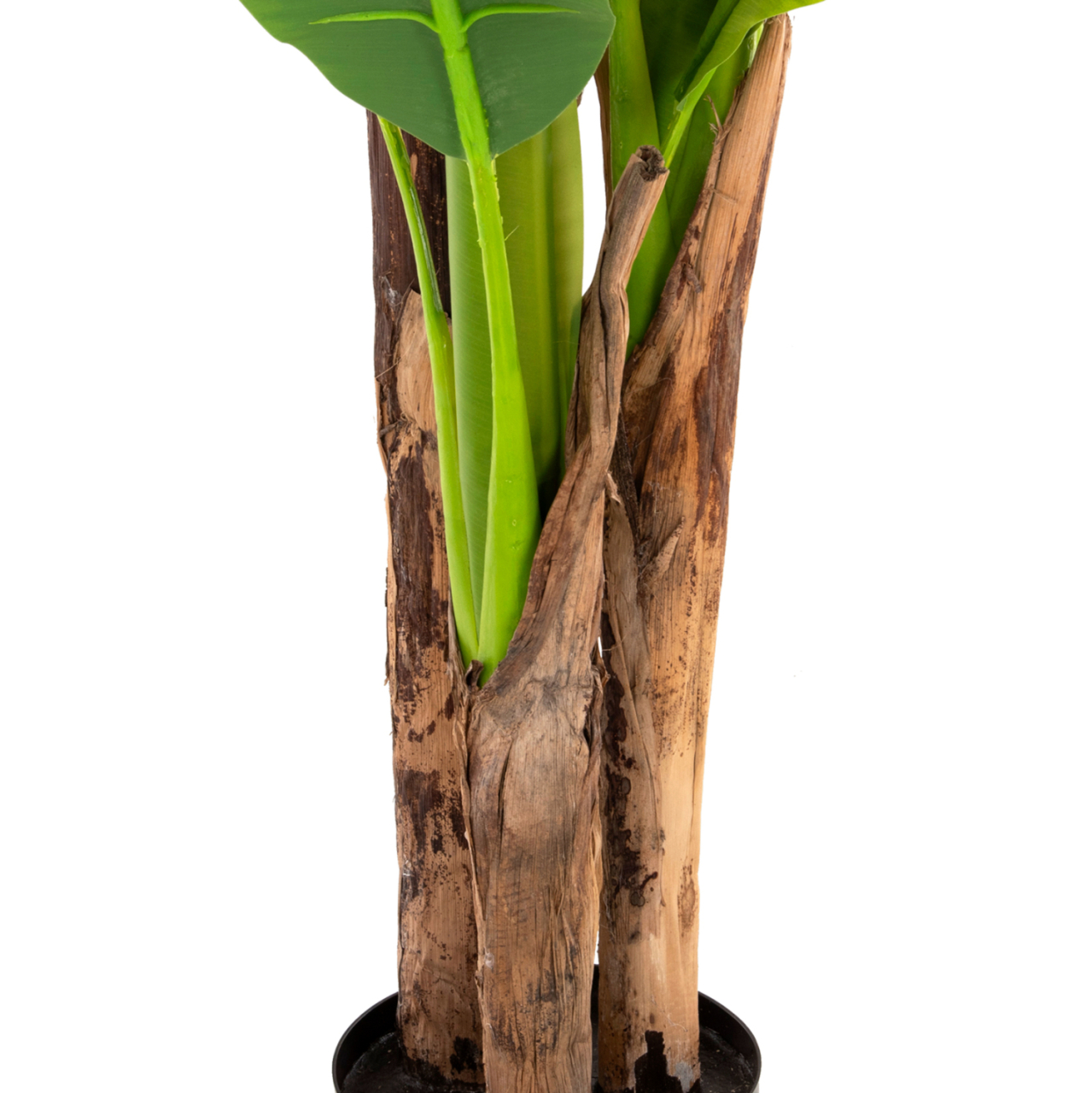 DECORATIVE SYNTHETIC PLANT HM7977 BANΑΝΑ TREE IN POT 150H cm. [7]