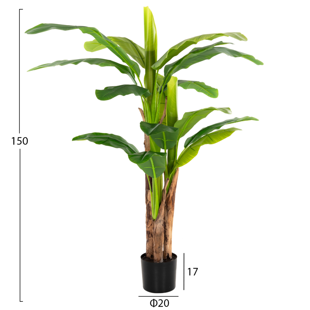 DECORATIVE SYNTHETIC PLANT HM7977 BANΑΝΑ TREE IN POT 150H cm. [2]