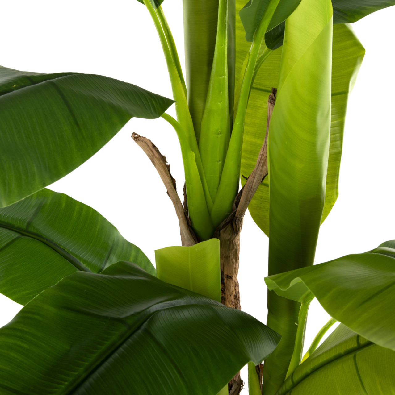 DECORATIVE SYNTHETIC PLANT HM7977 BANΑΝΑ TREE IN POT 150H cm. [4]