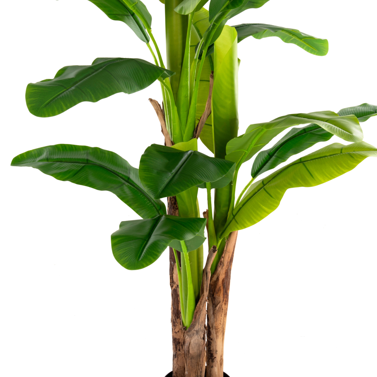 DECORATIVE SYNTHETIC PLANT HM7977 BANΑΝΑ TREE IN POT 150H cm. [6]