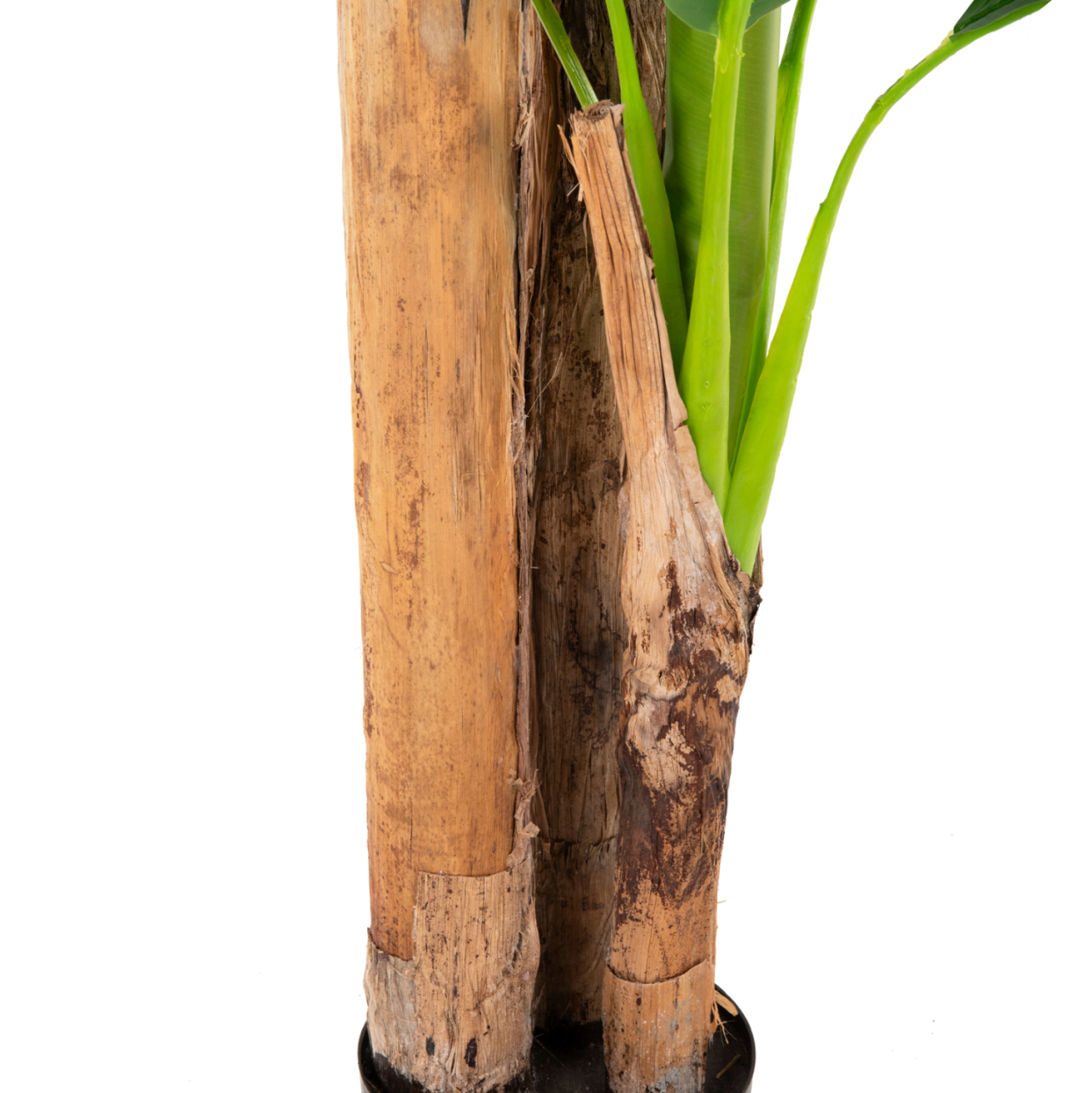 DECORATIVE SYNTHETIC PLANT HM7978 BANΑΝΑ TREE IN POT 200H cm. [6]