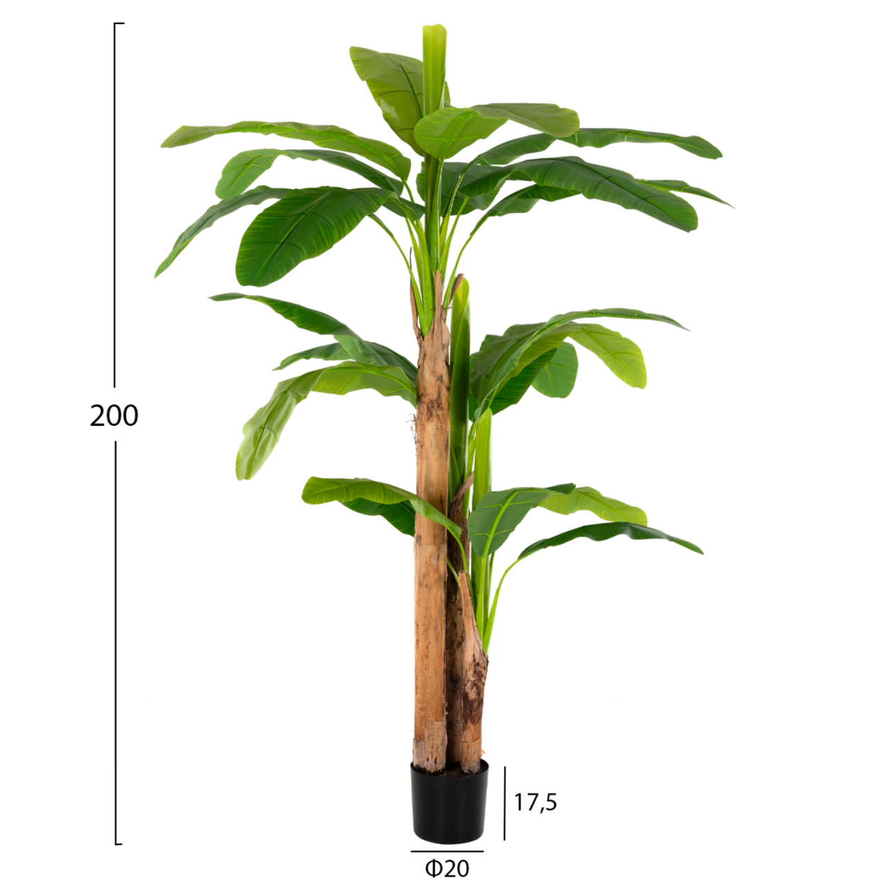 DECORATIVE SYNTHETIC PLANT HM7978 BANΑΝΑ TREE IN POT 200H cm. [2]