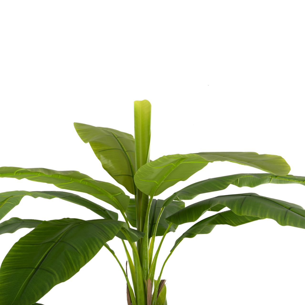DECORATIVE SYNTHETIC PLANT HM7978 BANΑΝΑ TREE IN POT 200H cm. [4]