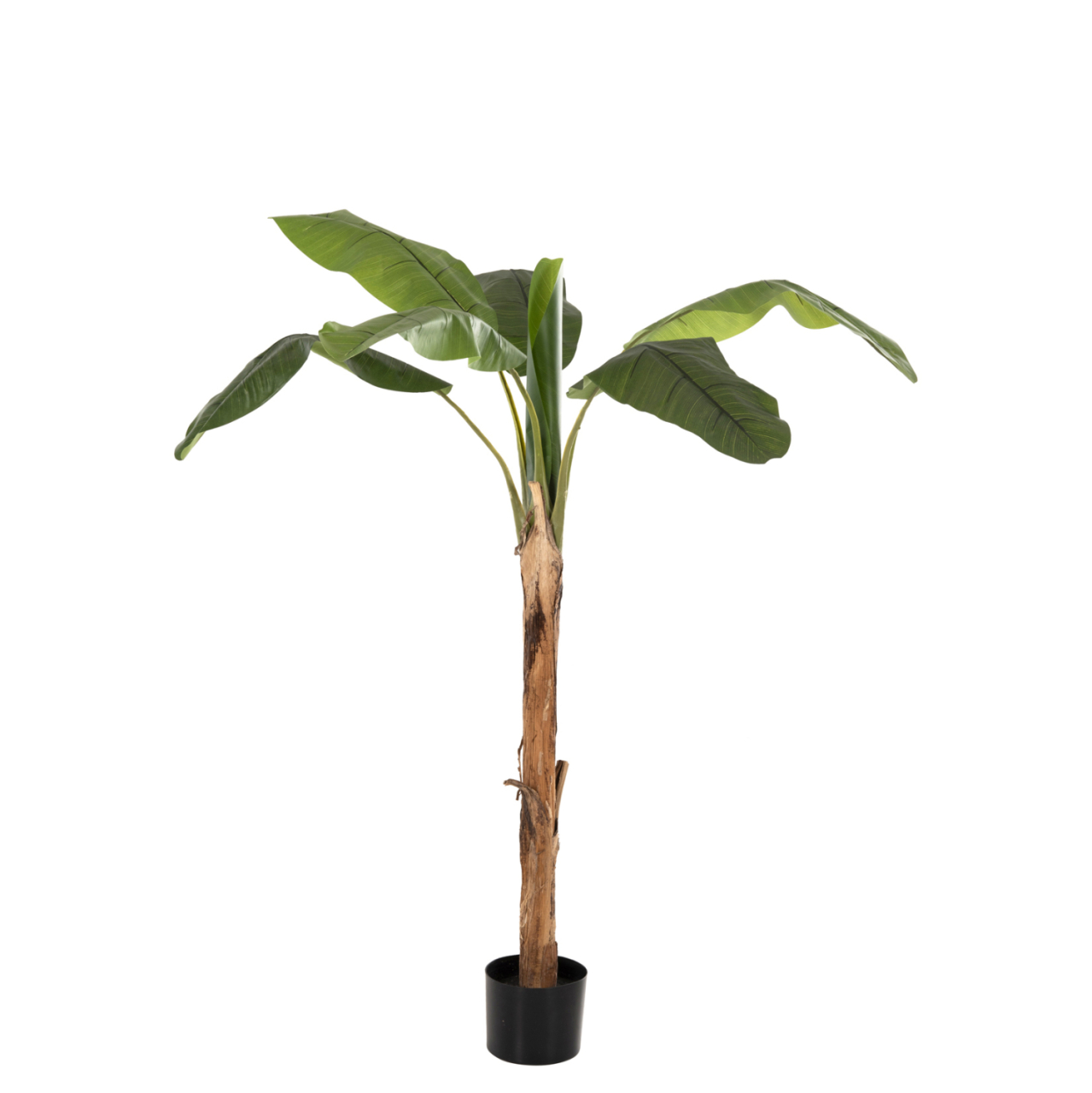 DECORATIVE SYNTHETIC PLANT HM7978 BANΑΝΑ TREE IN POT 200H cm. [3]