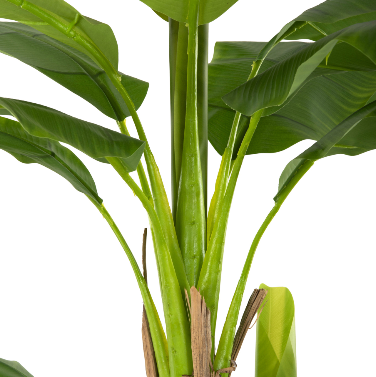 DECORATIVE SYNTHETIC PLANT HM7978 BANΑΝΑ TREE IN POT 200H cm. [5]