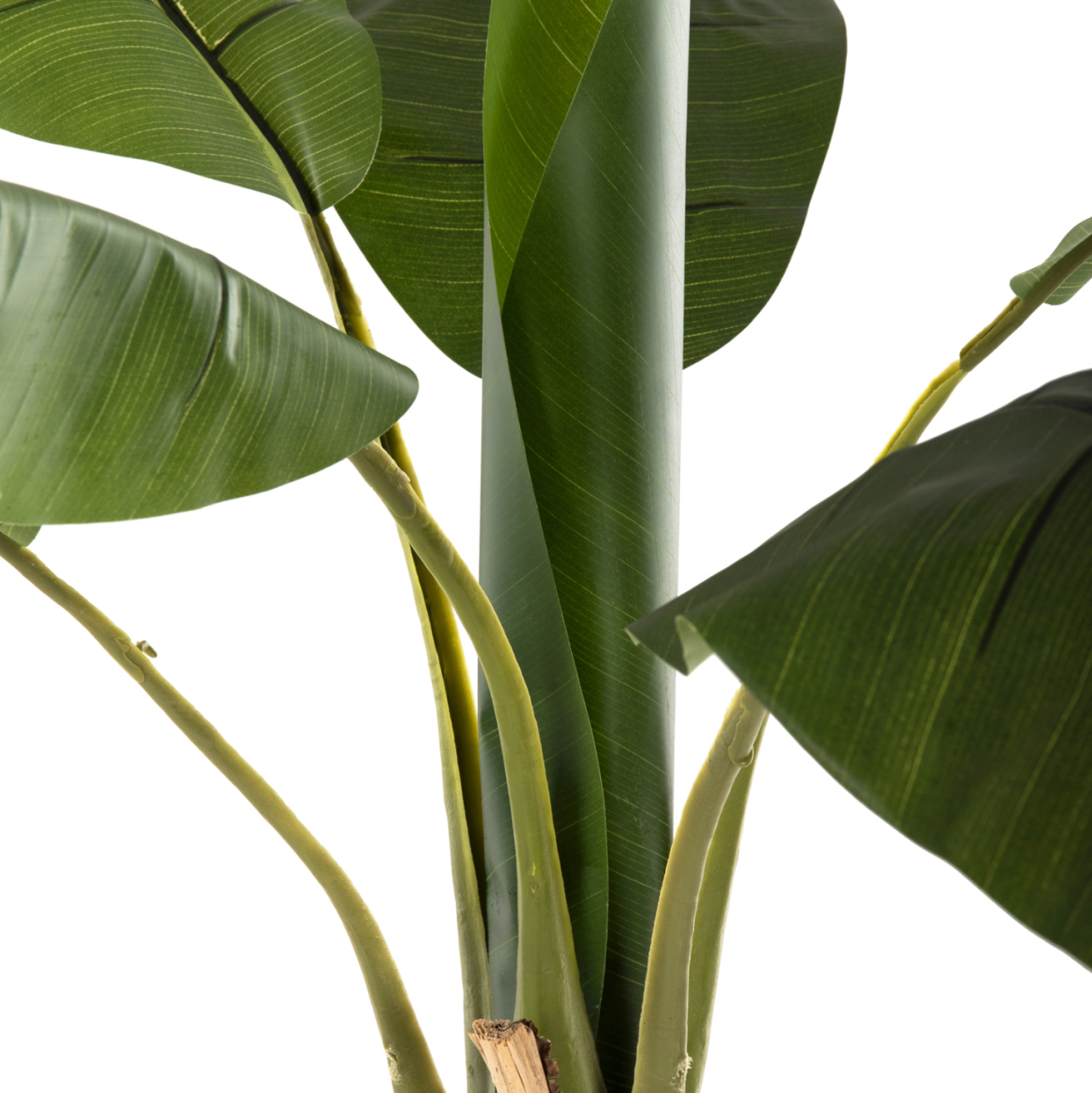 DECORATIVE SYNTHETIC PLANT HM7979 BANΑΝΑ TREE (1) IN POT 180H cm. [6]