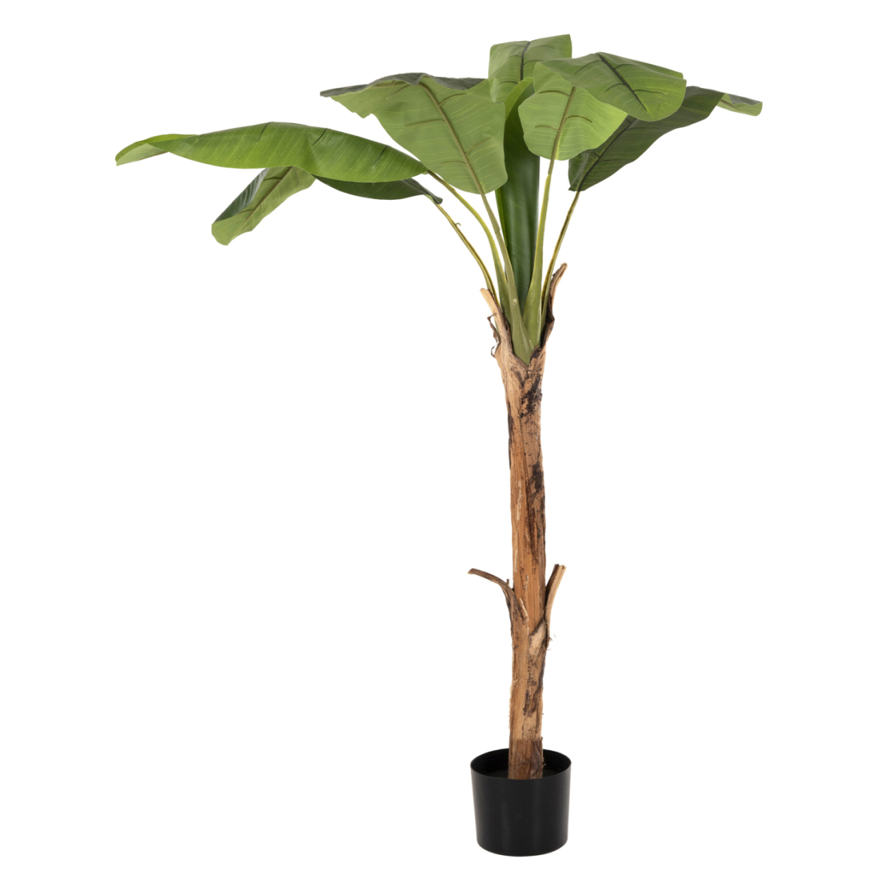 DECORATIVE SYNTHETIC PLANT HM7979 BANΑΝΑ TREE (1) IN POT 180H cm. [3]