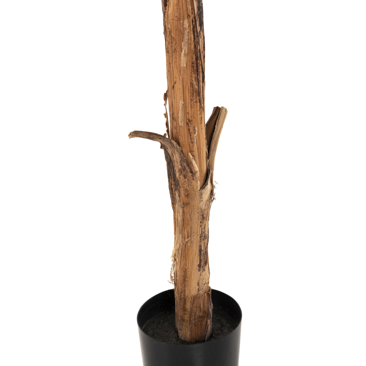 DECORATIVE SYNTHETIC PLANT HM7979 BANΑΝΑ TREE (1) IN POT 180H cm. [8]