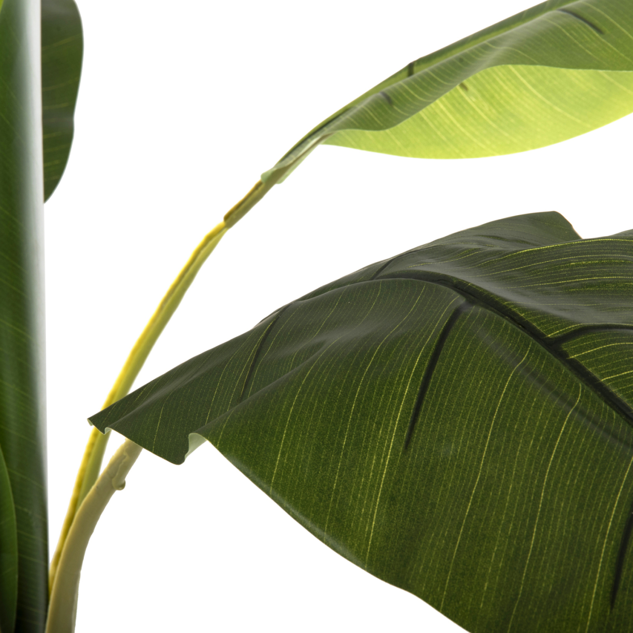 DECORATIVE SYNTHETIC PLANT HM7979 BANΑΝΑ TREE (1) IN POT 180H cm. [7]