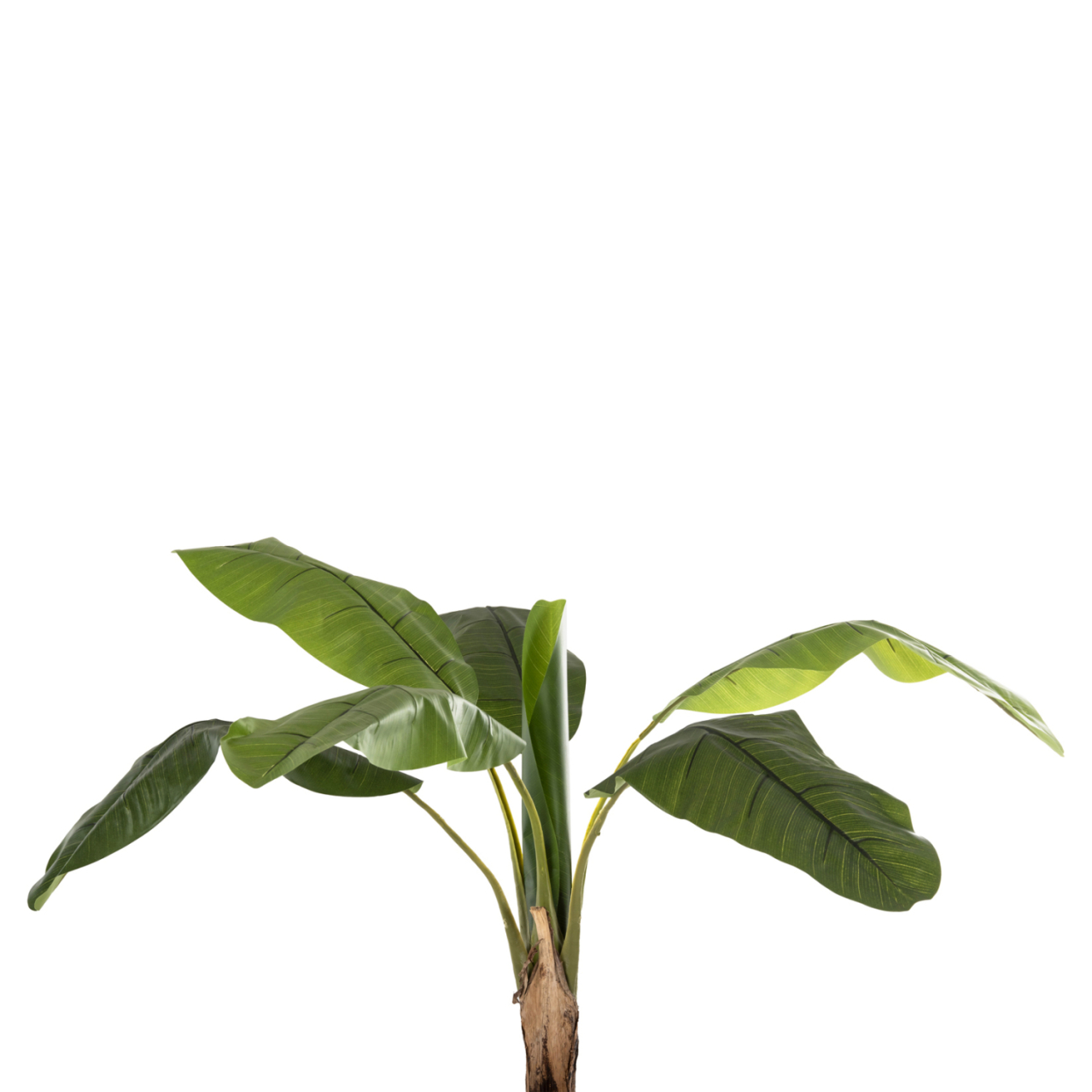 DECORATIVE SYNTHETIC PLANT HM7979 BANΑΝΑ TREE (1) IN POT 180H cm. [4]