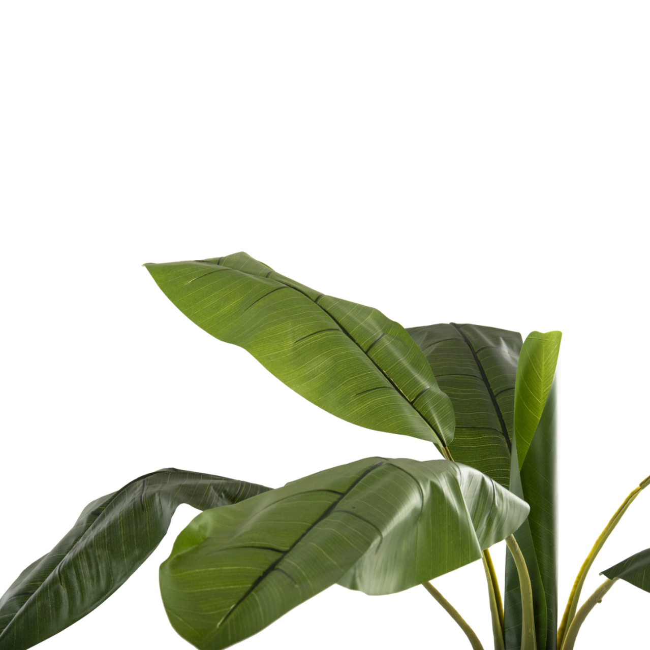 DECORATIVE SYNTHETIC PLANT HM7979 BANΑΝΑ TREE (1) IN POT 180H cm. [5]