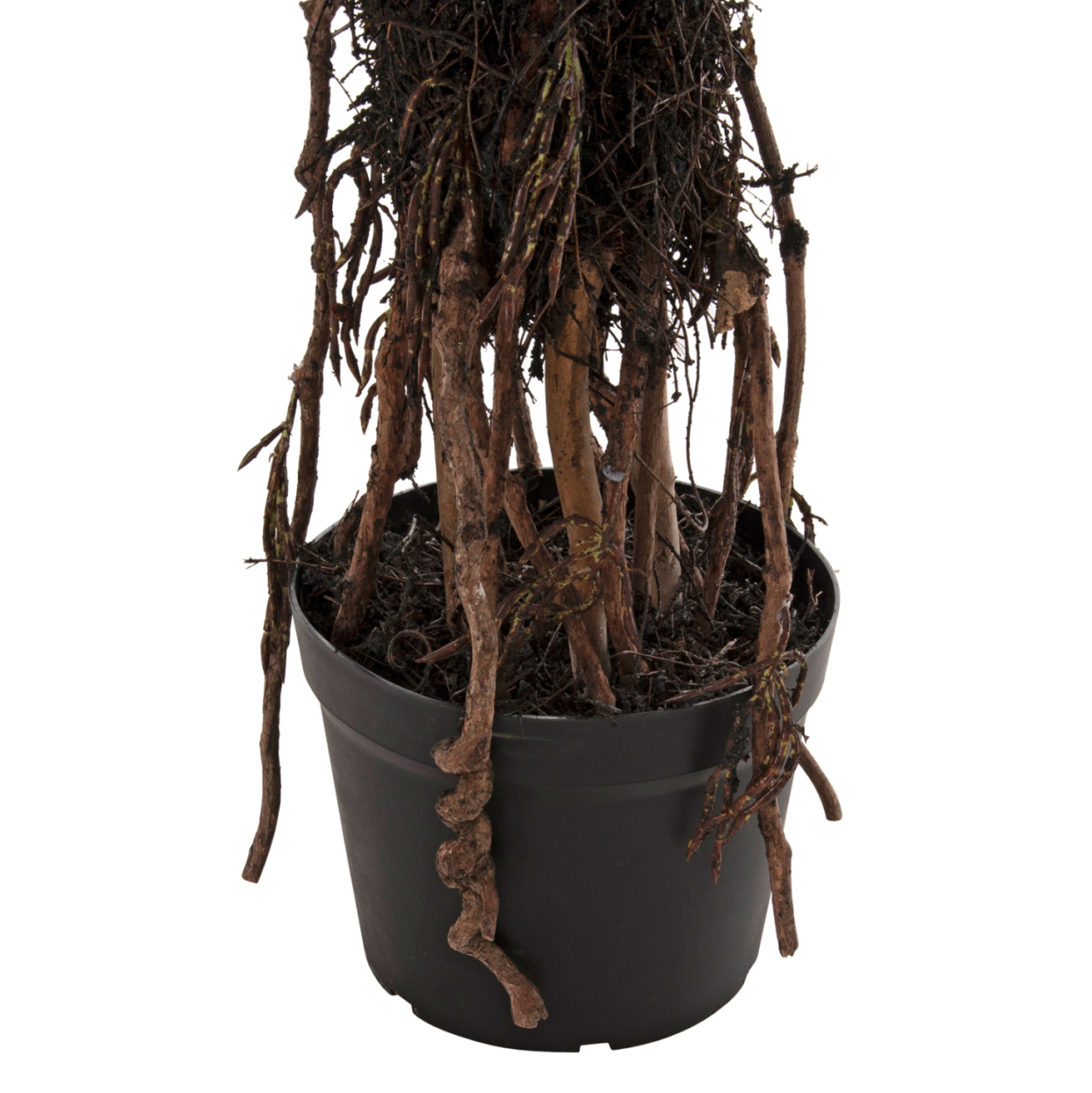 DECORATIVE SYNTHETIC PLANT HM7989 SISAL TREE IN POT 200H cm. [5]