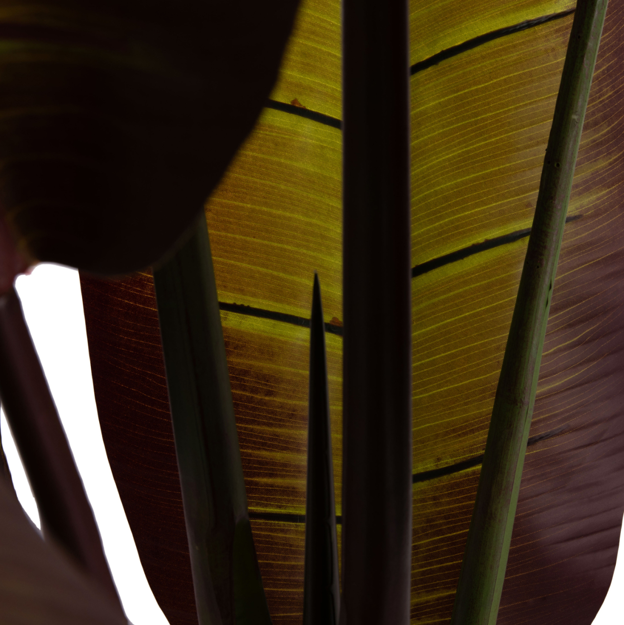 DECORATIVE SYNTHETIC PLANT IN POT HM4740 JAPANESE BANANA 85x75x225Hcm. [10]