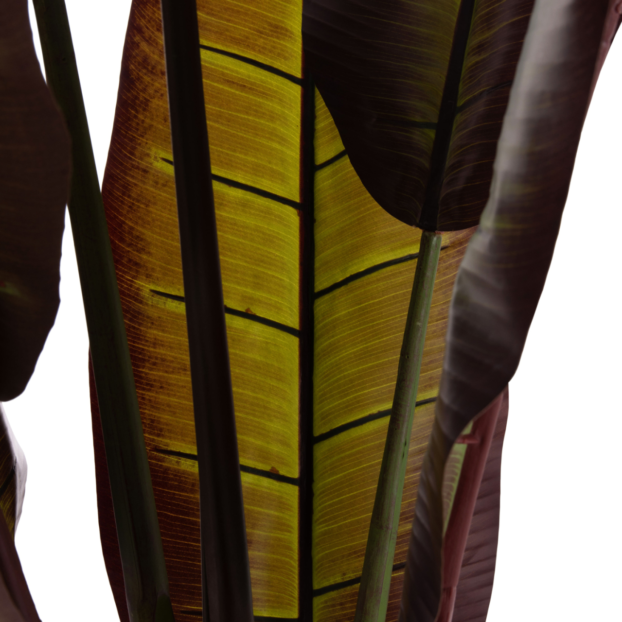 DECORATIVE SYNTHETIC PLANT IN POT HM4740 JAPANESE BANANA 85x75x225Hcm. [7]