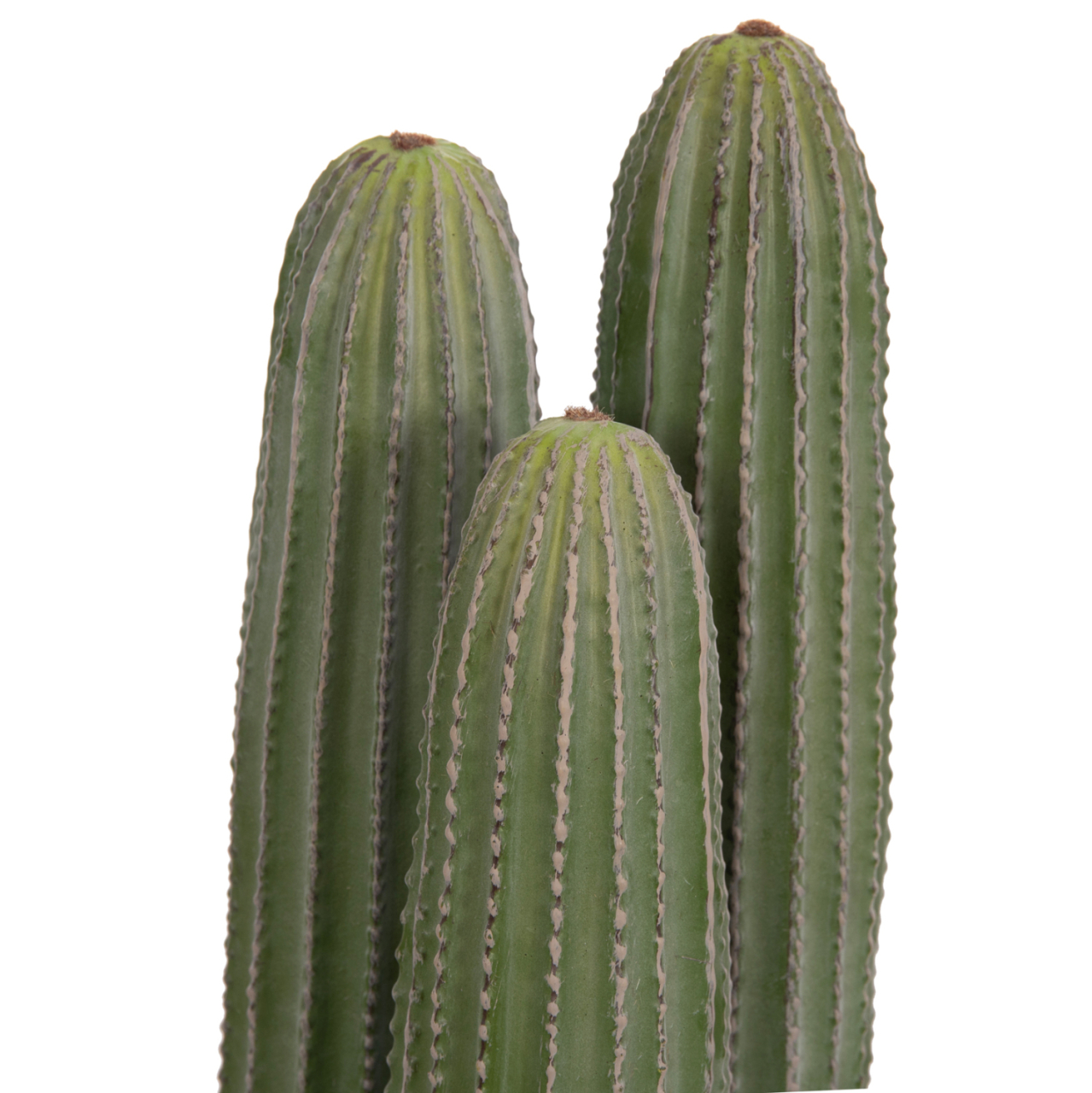 DECORATIVE SYNTHETIC PLANT IN POT HM4743 CACTUS Φ16x62Hcm. [8]