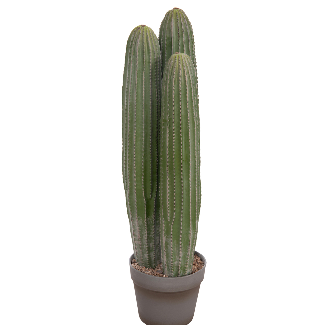 DECORATIVE SYNTHETIC PLANT IN POT HM4743 CACTUS Φ16x62Hcm. [6]