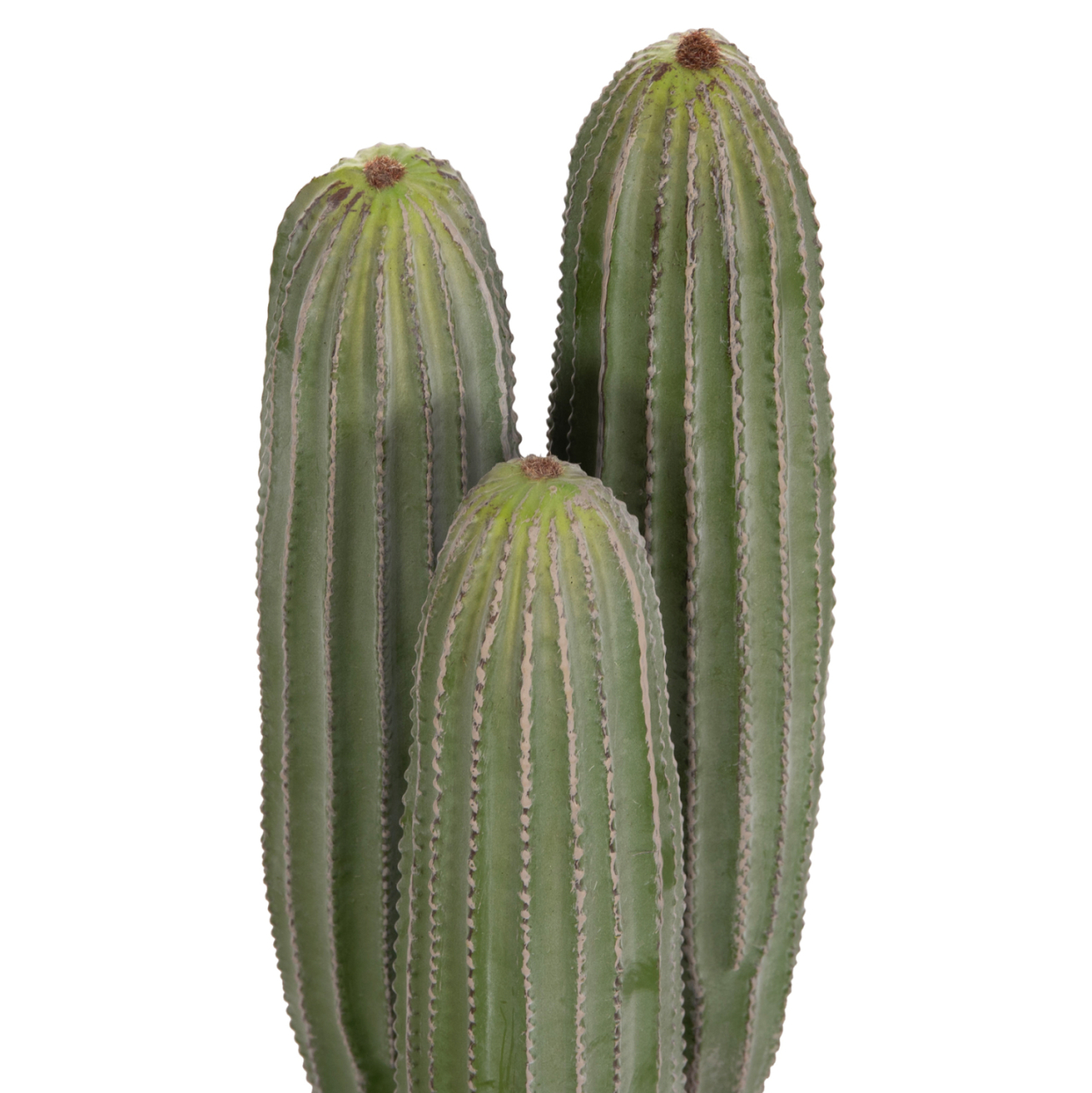 DECORATIVE SYNTHETIC PLANT IN POT HM4743 CACTUS Φ16x62Hcm. [3]