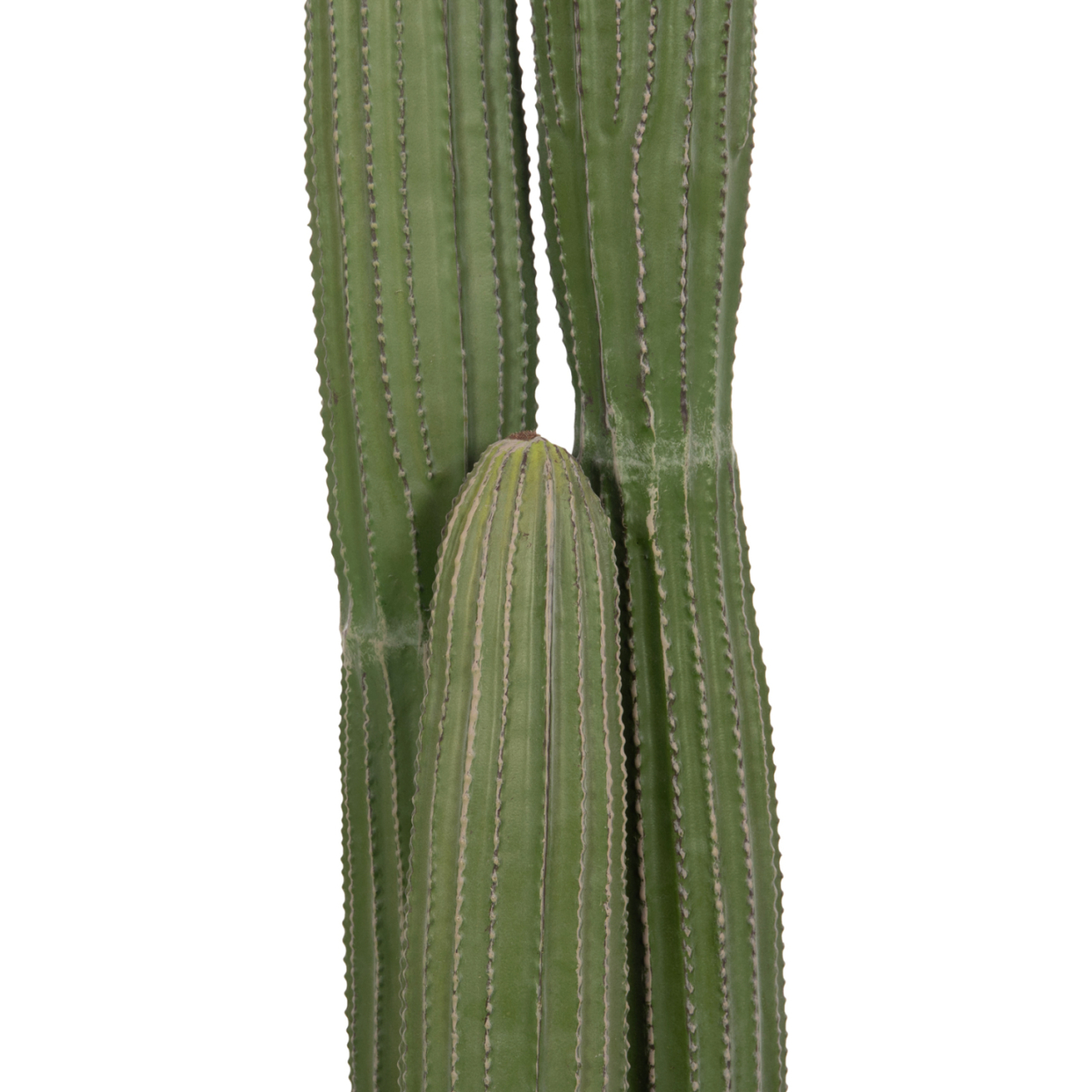DECORATIVE SYNTHETIC PLANT IN POT HM4744 CACTUS Φ17.5x105Hcm. [4]
