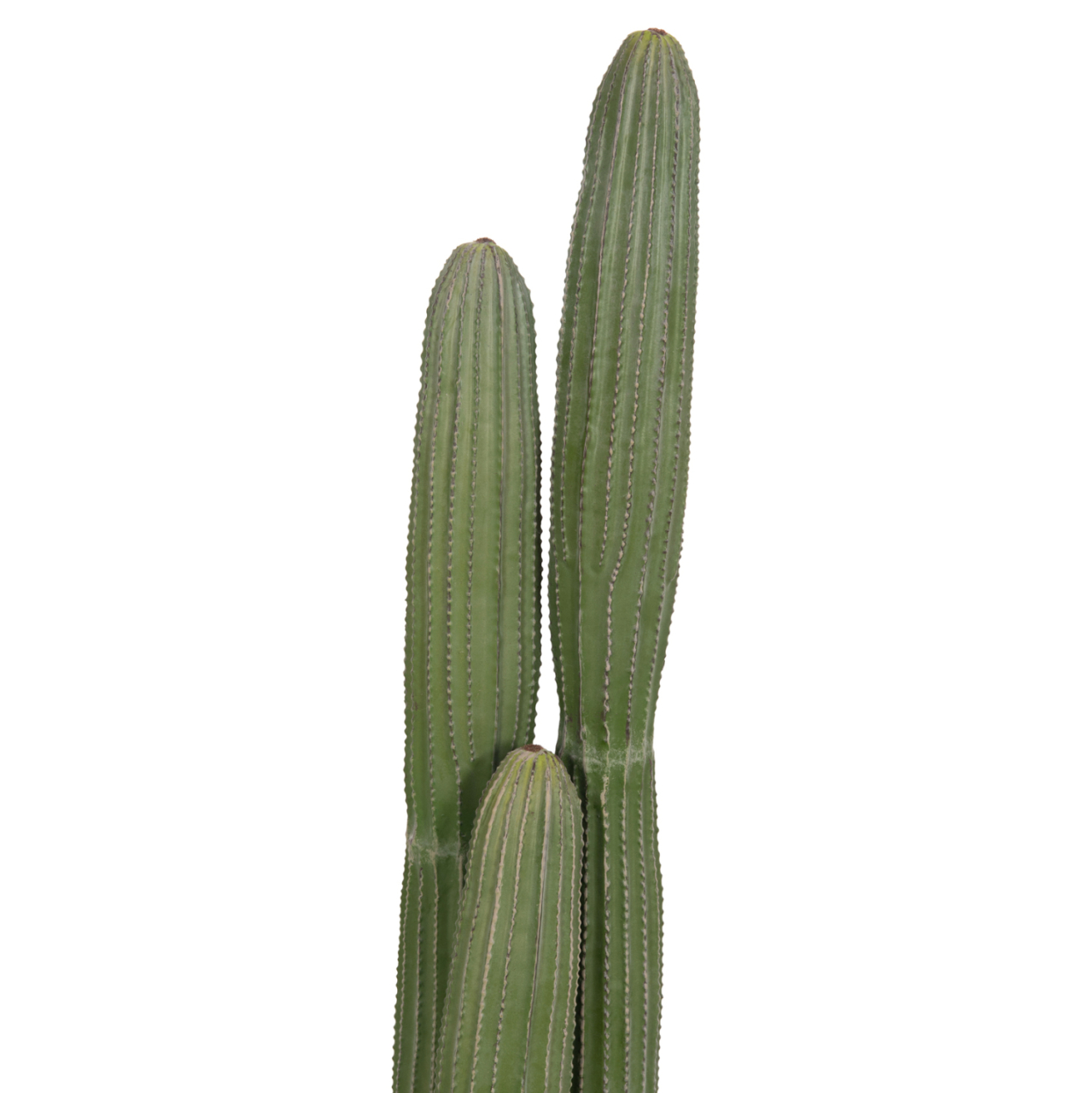 DECORATIVE SYNTHETIC PLANT IN POT HM4744 CACTUS Φ17.5x105Hcm. [7]