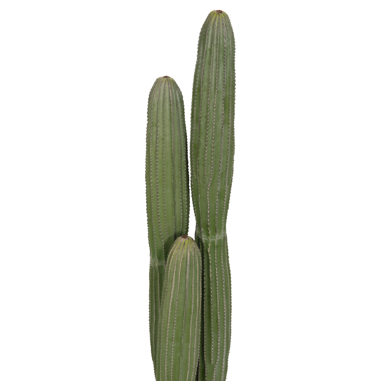 DECORATIVE SYNTHETIC PLANT IN POT HM4744 CACTUS Φ17.5x105Hcm. [3]