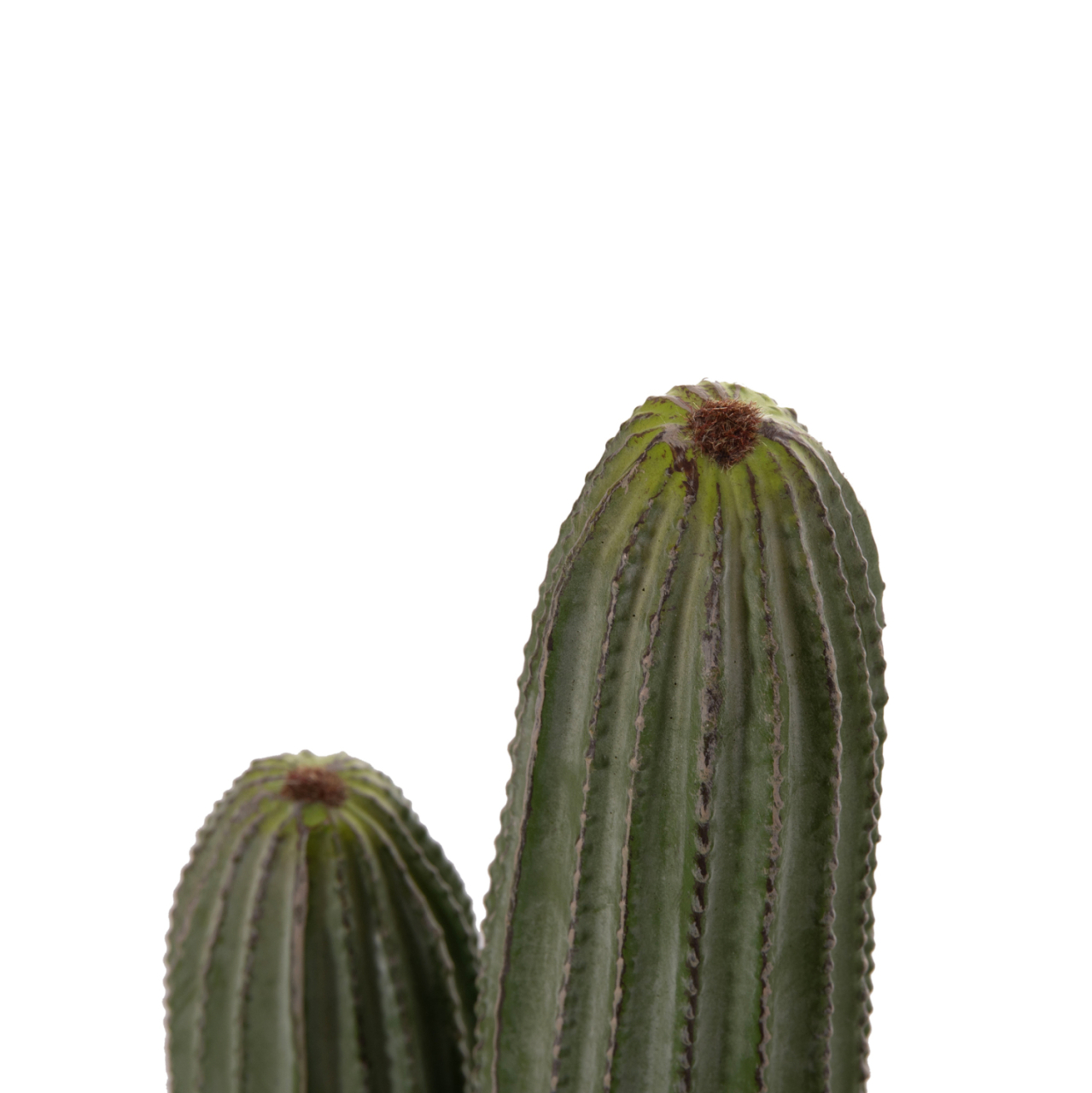 DECORATIVE SYNTHETIC PLANT IN POT HM4744 CACTUS Φ17.5x105Hcm. [9]