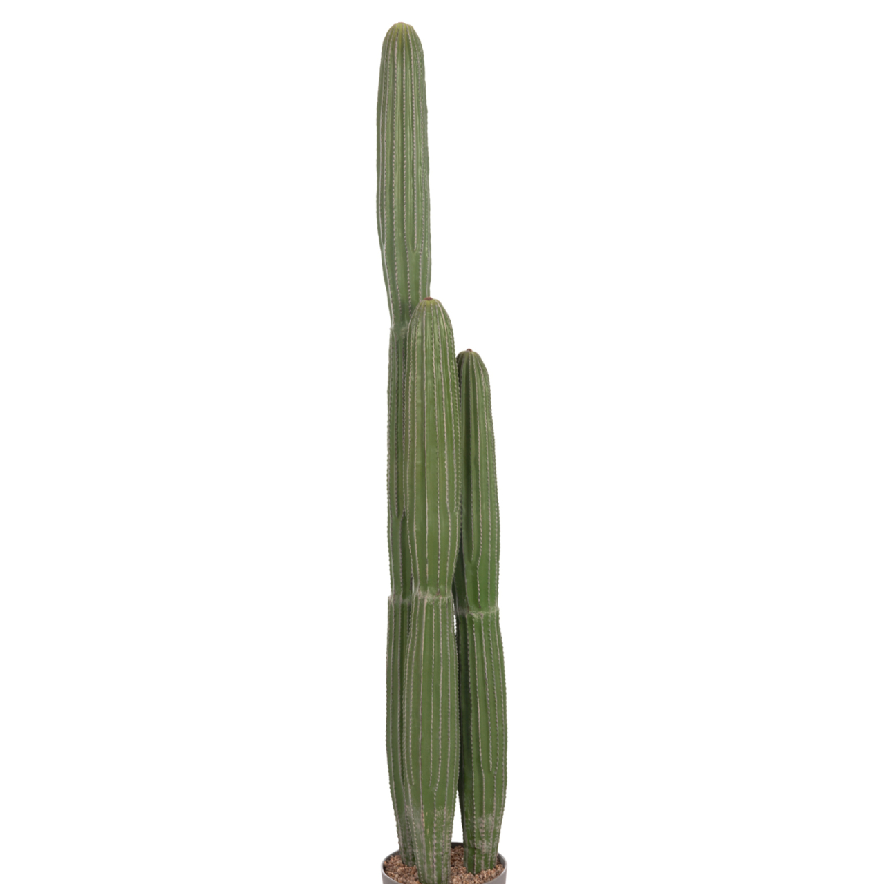 DECORATIVE SYNTHETIC PLANT IN POT HM4745 CACTUS Φ17.5x144Hcm. [6]