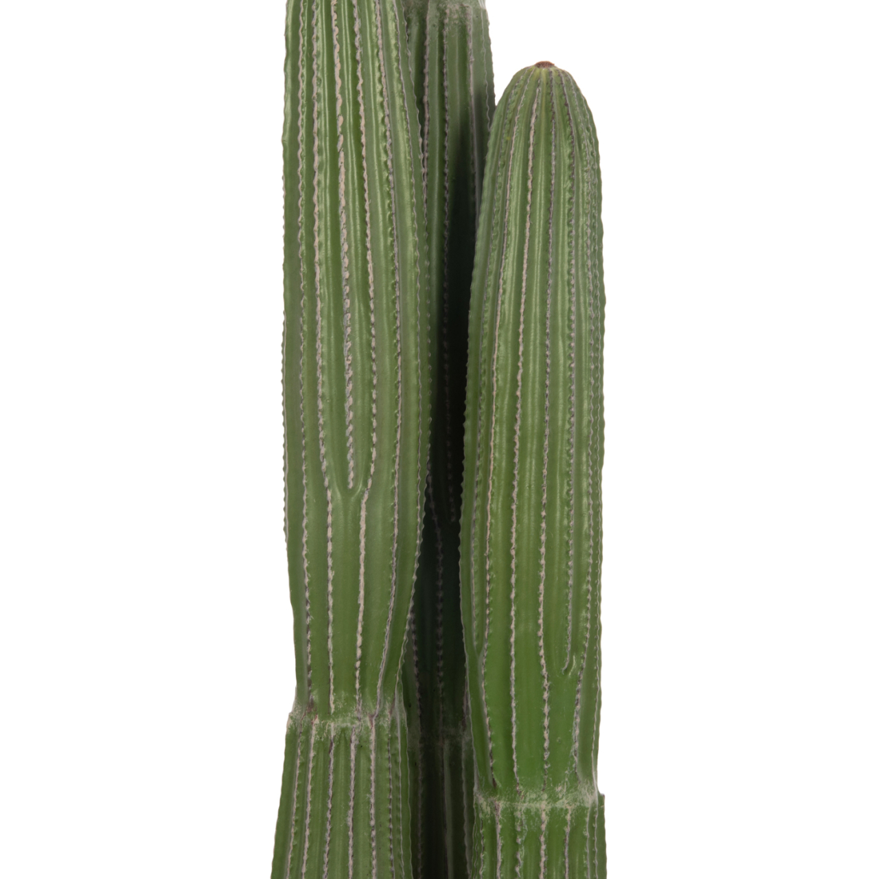 DECORATIVE SYNTHETIC PLANT IN POT HM4745 CACTUS Φ17.5x144Hcm. [4]