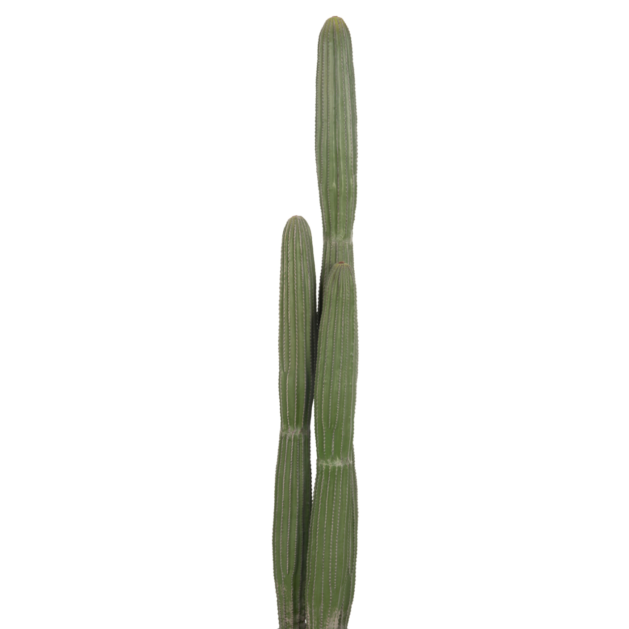 DECORATIVE SYNTHETIC PLANT IN POT HM4745 CACTUS Φ17.5x144Hcm. [9]