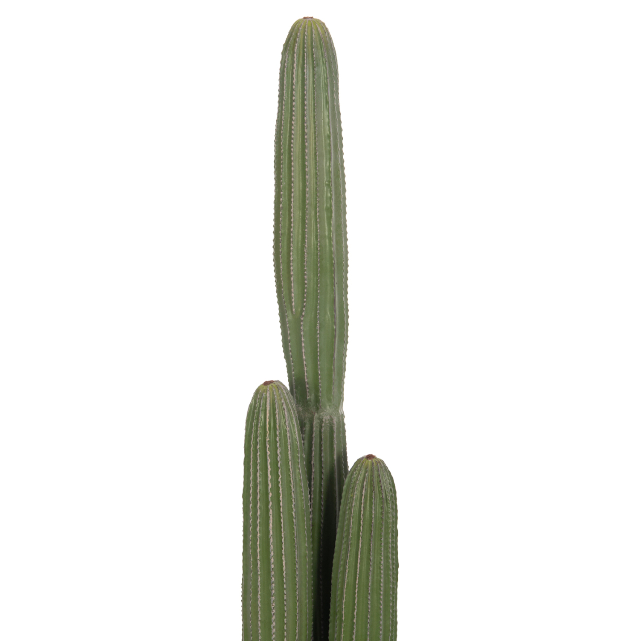 DECORATIVE SYNTHETIC PLANT IN POT HM4745 CACTUS Φ17.5x144Hcm. [3]