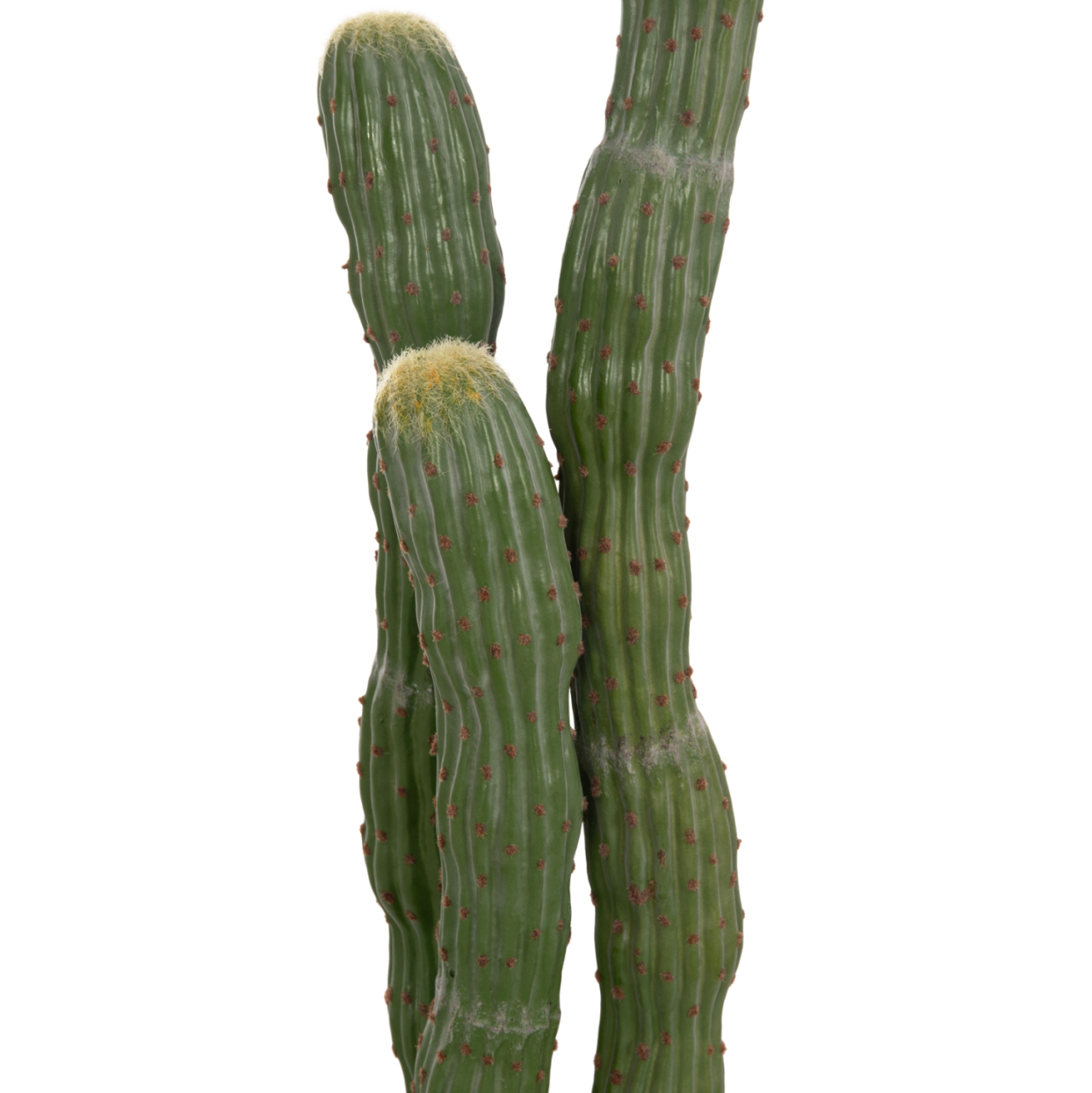 DECORATIVE SYNTHETIC PLANT IN POT HM4747 CACTUS Φ17.5x115Hcm. [4]