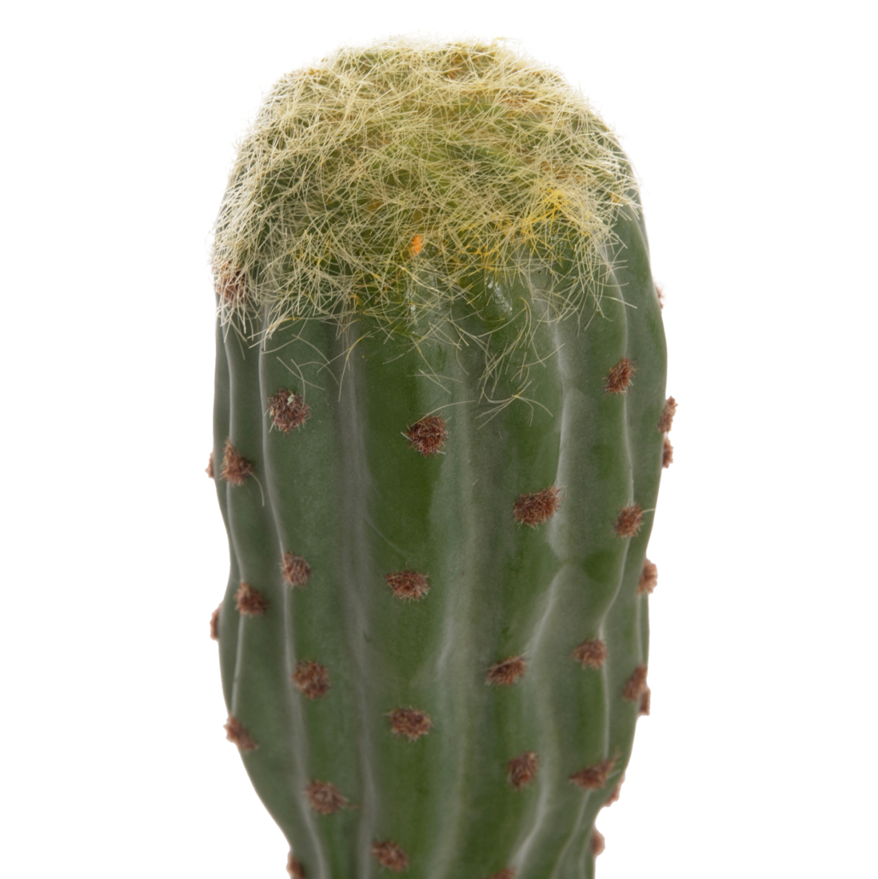 DECORATIVE SYNTHETIC PLANT IN POT HM4747 CACTUS Φ17.5x115Hcm. [6]