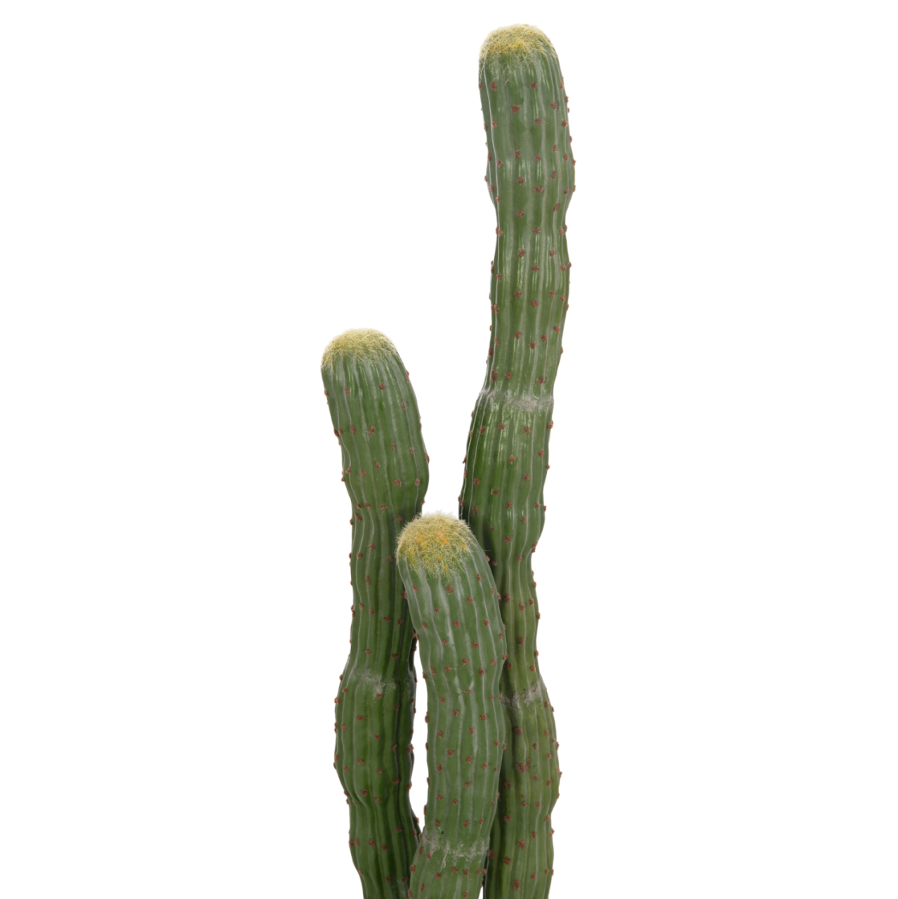 DECORATIVE SYNTHETIC PLANT IN POT HM4747 CACTUS Φ17.5x115Hcm. [3]