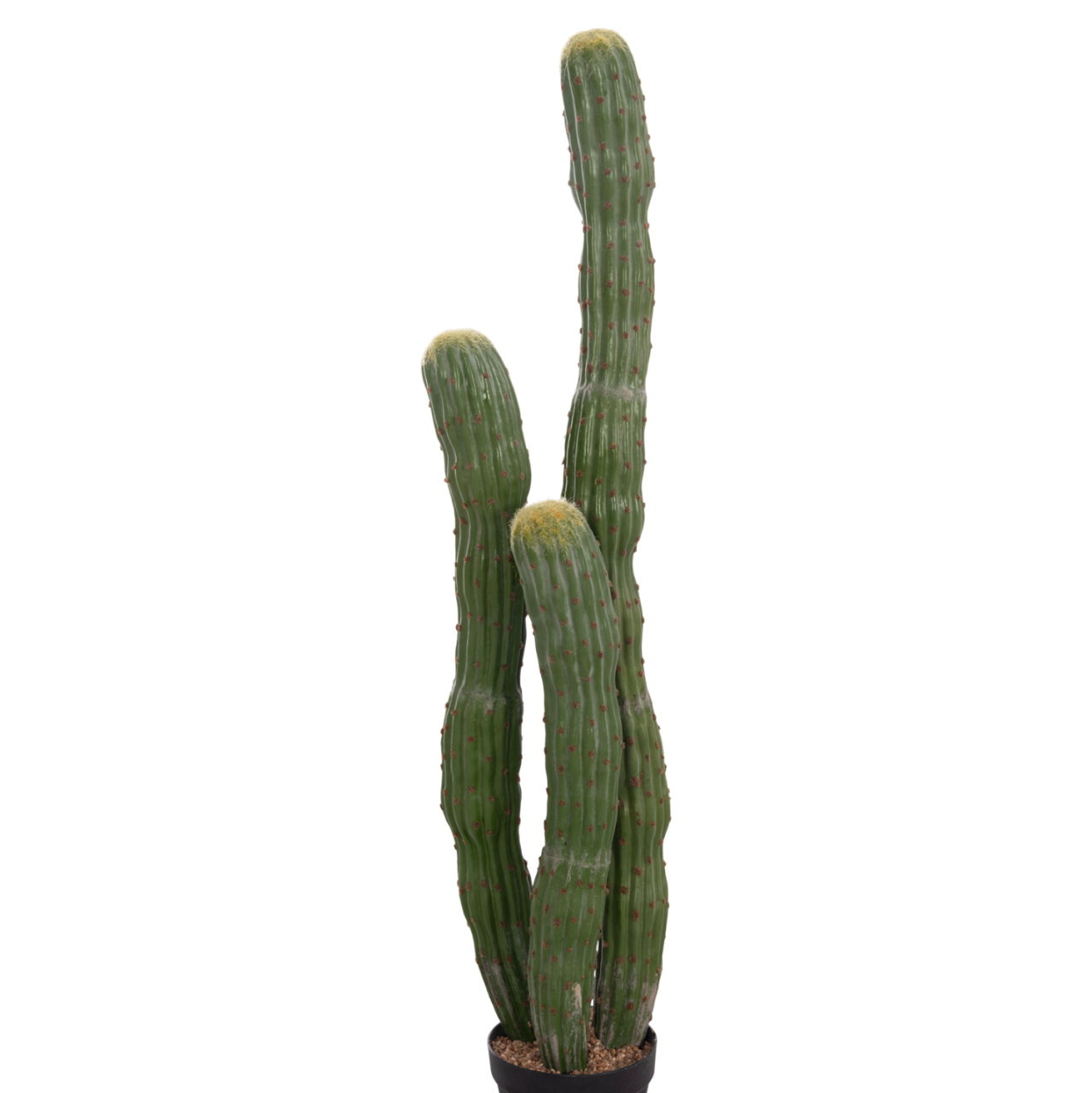 DECORATIVE SYNTHETIC PLANT IN POT HM4747 CACTUS Φ17.5x115Hcm. [8]