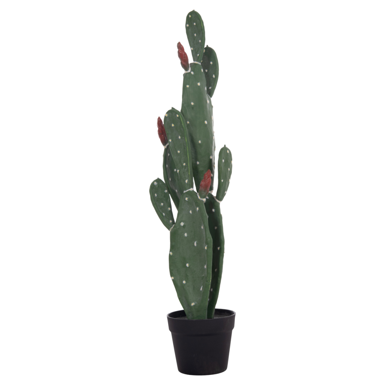 DECORATIVE SYNTHETIC PLANT IN POT HM4748 CACTUS 16x20x85Hcm. [3]