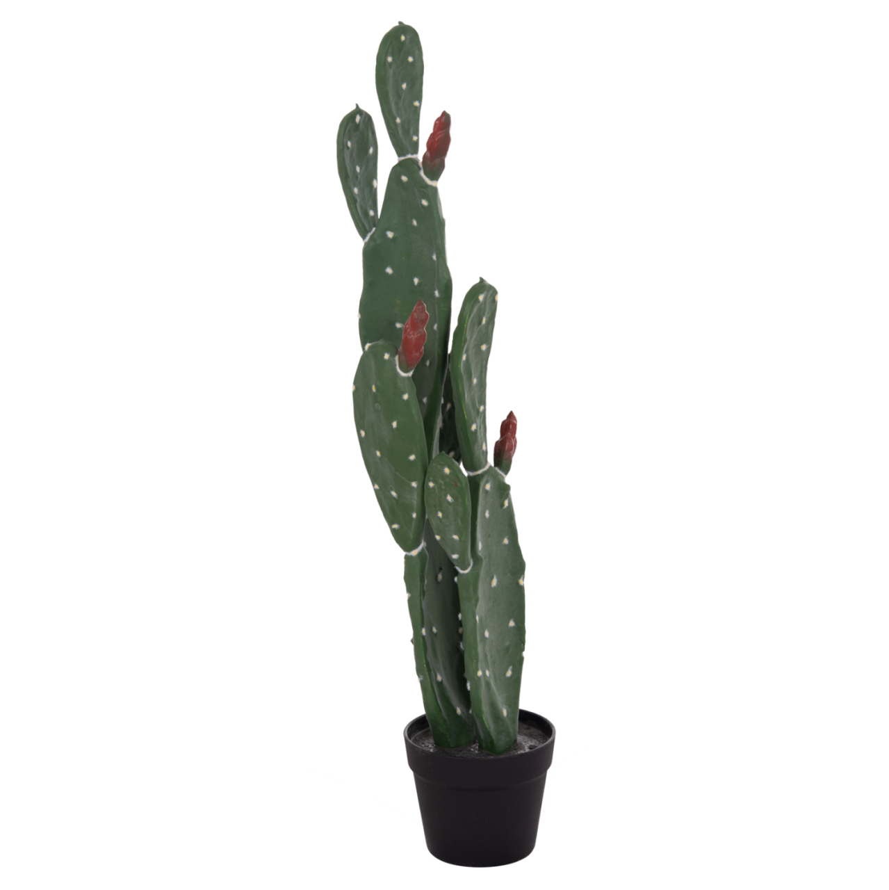 DECORATIVE SYNTHETIC PLANT IN POT HM4748 CACTUS 16x20x85Hcm. [7]