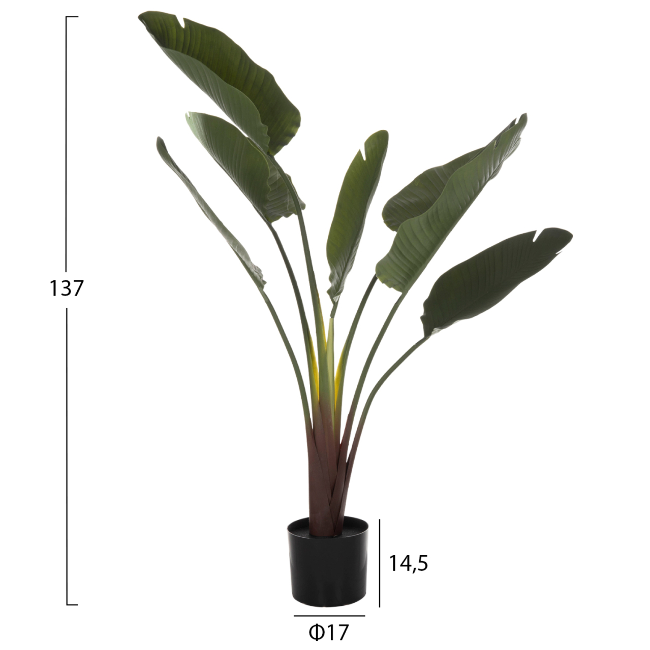 DECORATIVE SYNTHETIC PLANT IN POT HM7981 STRELITZIACEAE Φ17x14,5-137Hcm. [2]