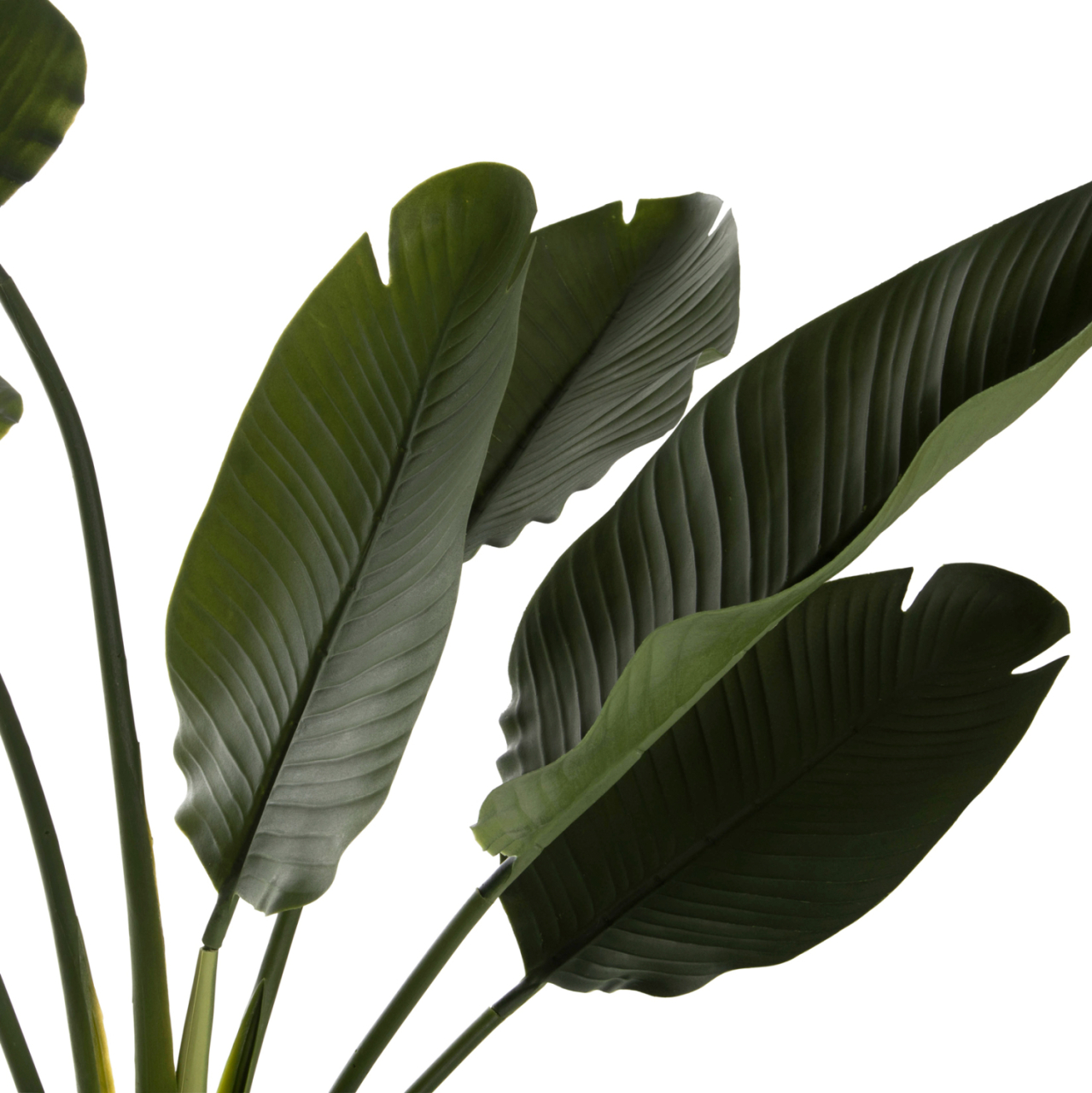 DECORATIVE SYNTHETIC PLANT IN POT HM7981 STRELITZIACEAE Φ17x14,5-137Hcm. [4]