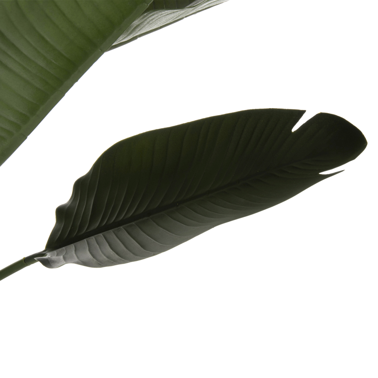 DECORATIVE SYNTHETIC PLANT IN POT HM7981 STRELITZIACEAE Φ17x14,5-137Hcm. [3]