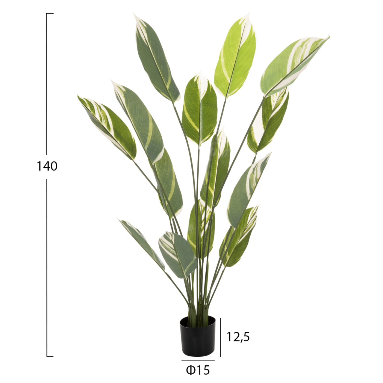 DECORATIVE SYNTHETIC PLANT IN POT HM7997 CALATHEA 140Hcm. [2]