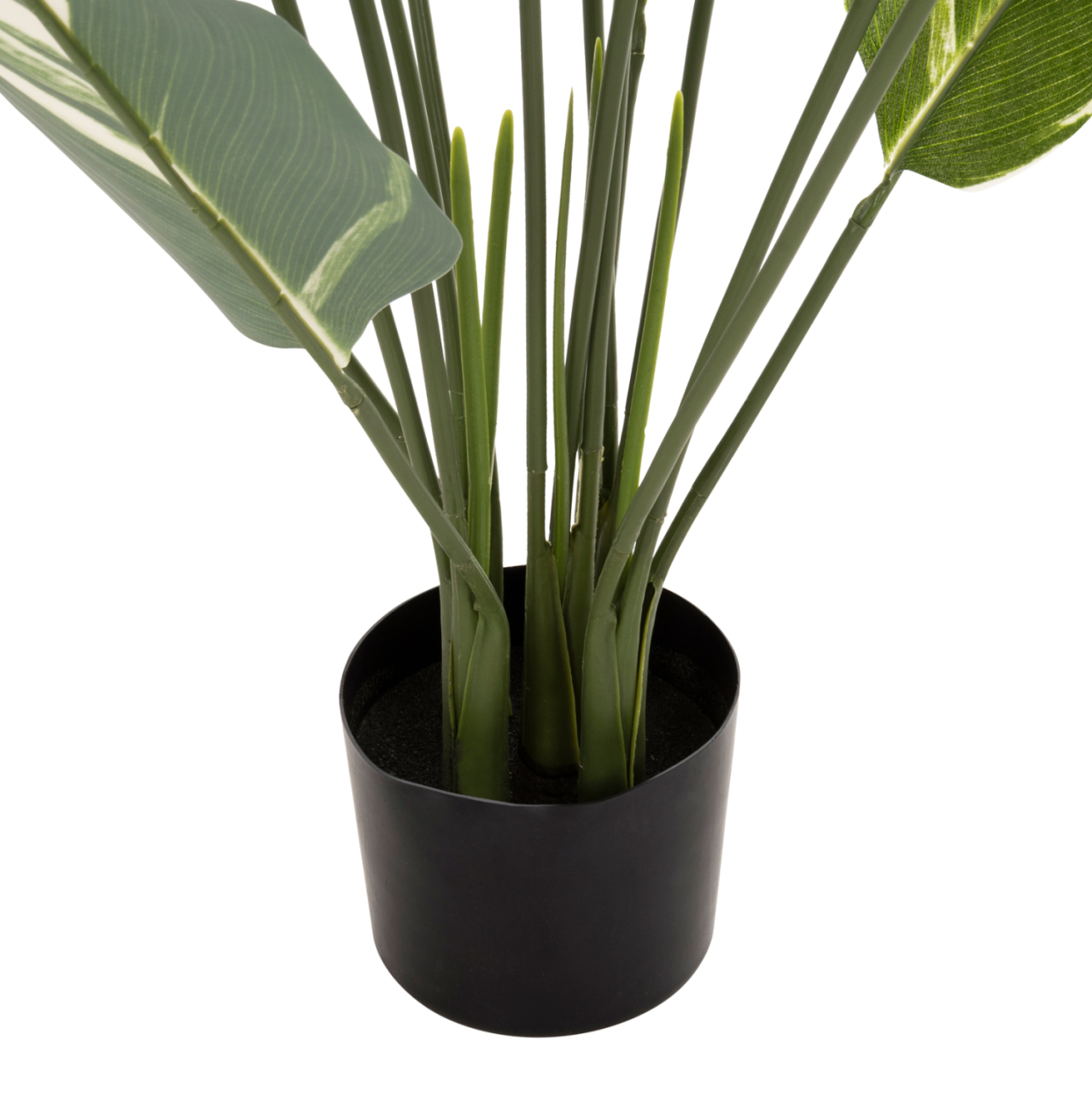 DECORATIVE SYNTHETIC PLANT IN POT HM7997 CALATHEA 140Hcm. [4]