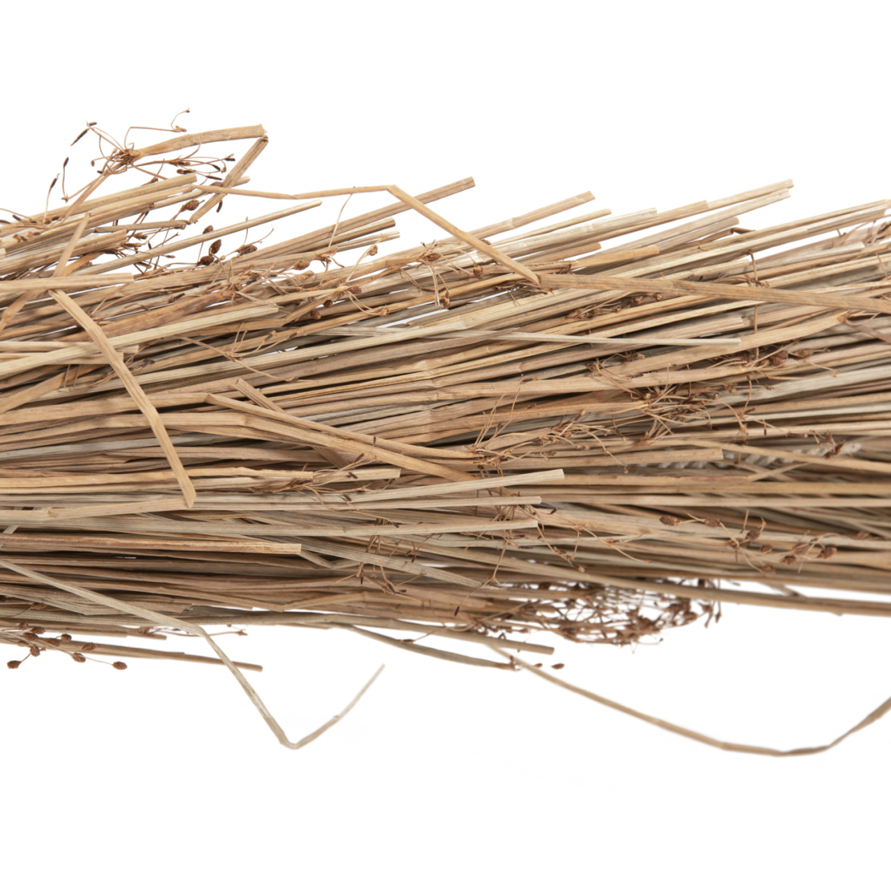 DECORATIVE TREE TROPIC HM4322 COCONUT-STYLE MADE OF MENDONG GRASS 360Hcm. [6]