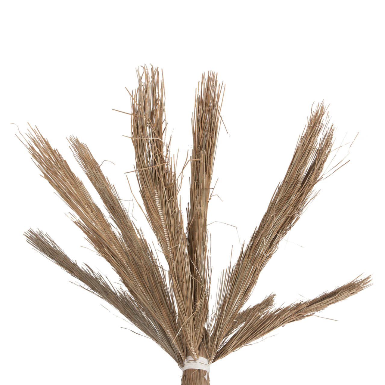 DECORATIVE TREE TROPIC HM4322 COCONUT-STYLE MADE OF MENDONG GRASS 360Hcm. [4]