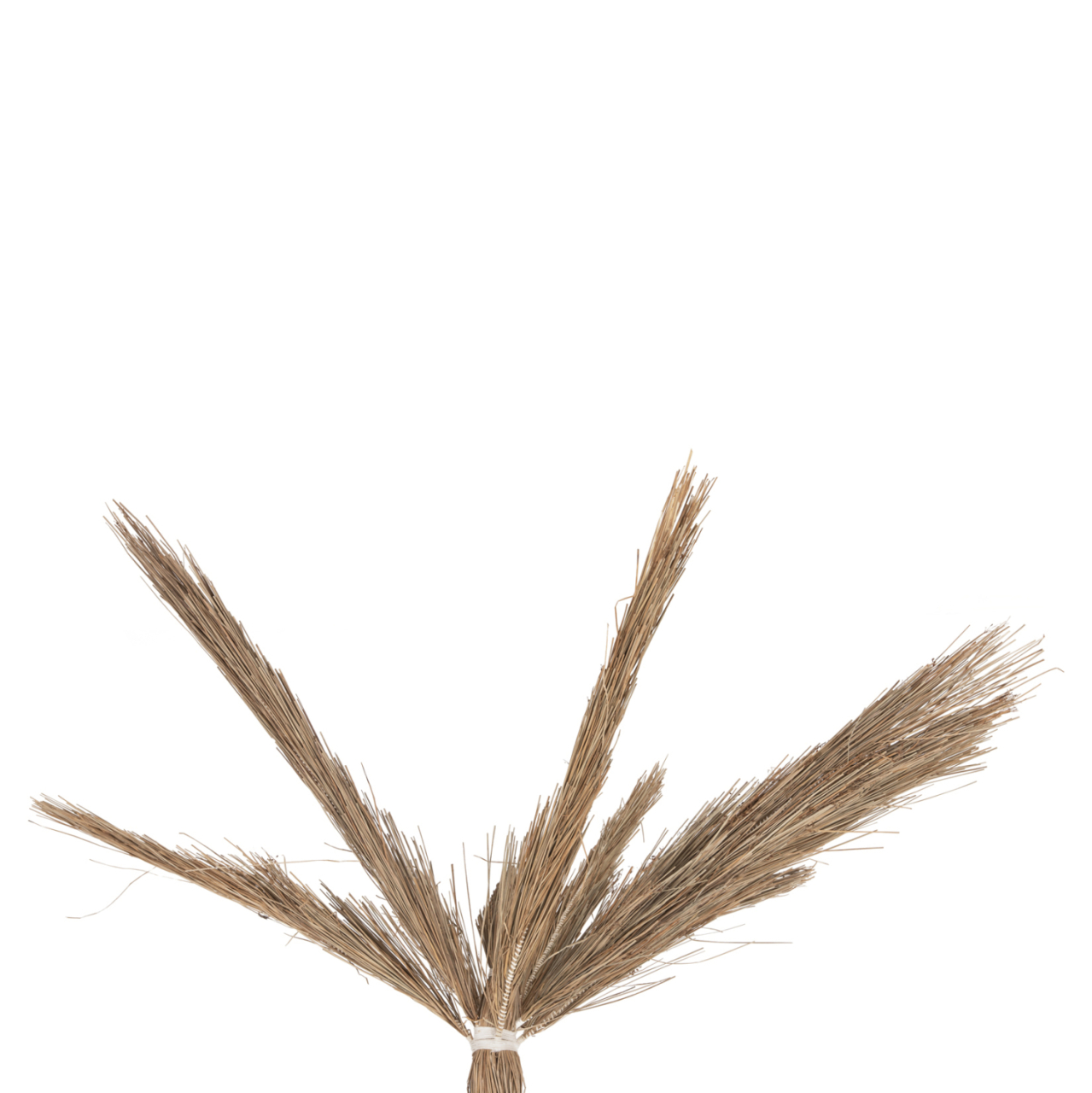 DECORATIVE TREE TROPIC HM4323 COCONUT-STYLE MADE OF MENDONG GRASS 310Hcm. [4]