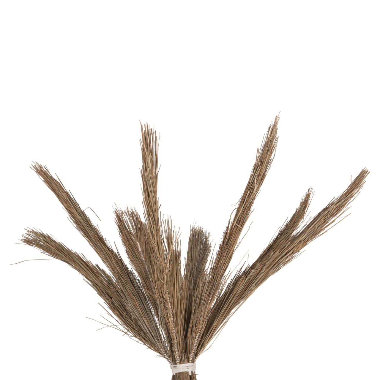 DECORATIVE TREE TROPIC HM4324 COCONUT-STYLE MADE OF MENDONG GRASS 280Hcm. [4]