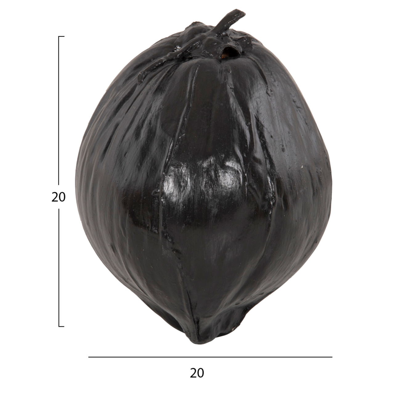 TABLE DECORATION HM4326.02 COCONUT IN BLACK COLOR 20x20x20Hcm. [2]