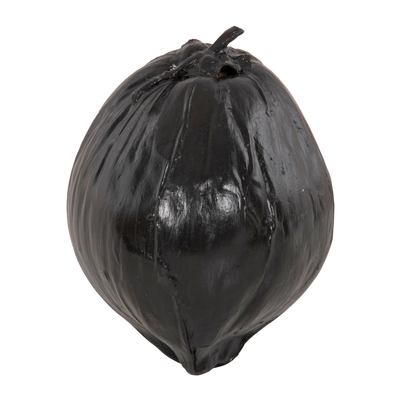TABLE DECORATION HM4326.02 COCONUT IN BLACK COLOR 20x20x20Hcm. [1]