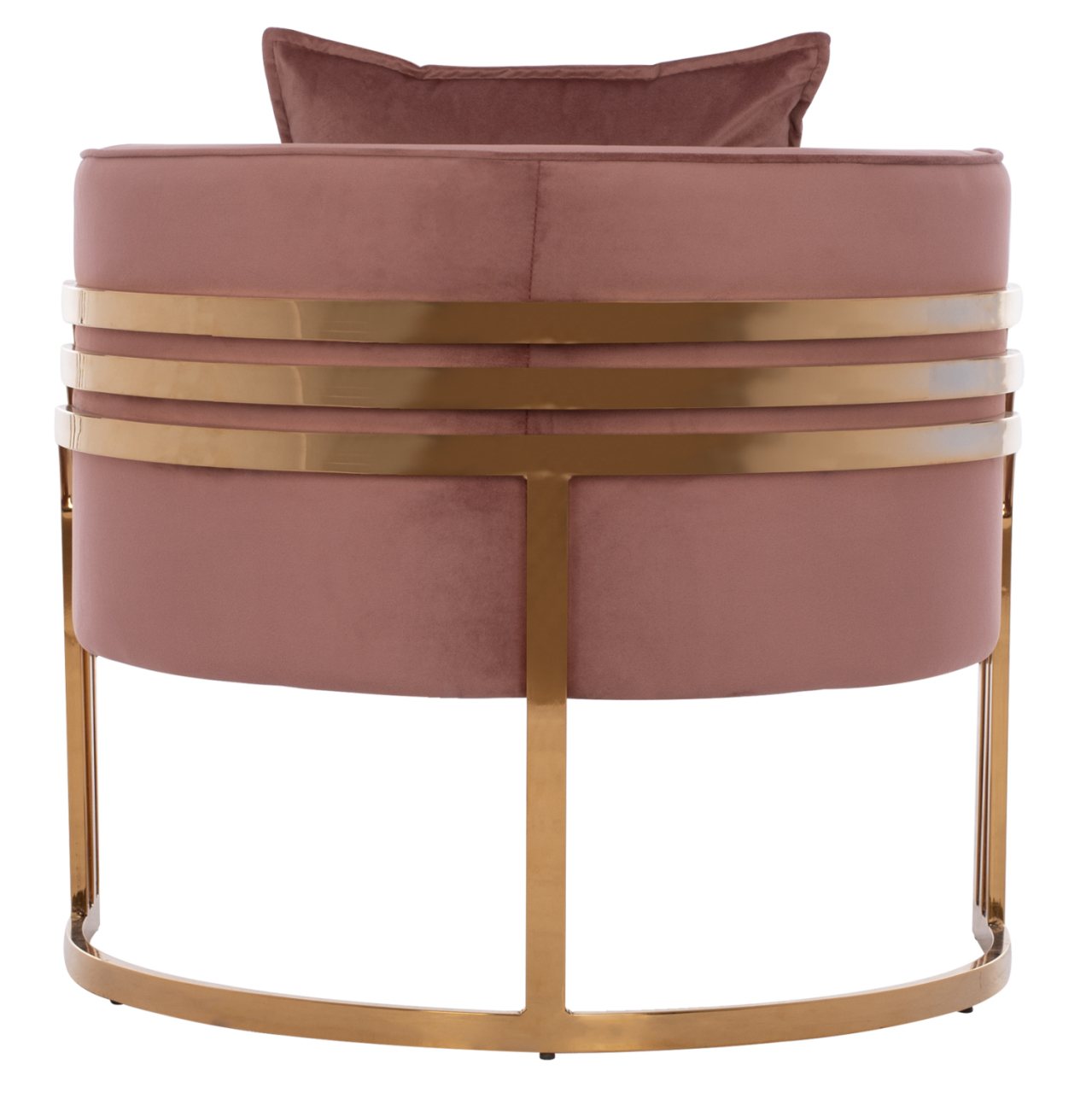 TIANA ARMCHAIR WITH GOLD METAL FRAME AND LOW BACK HM8738.02 [6]