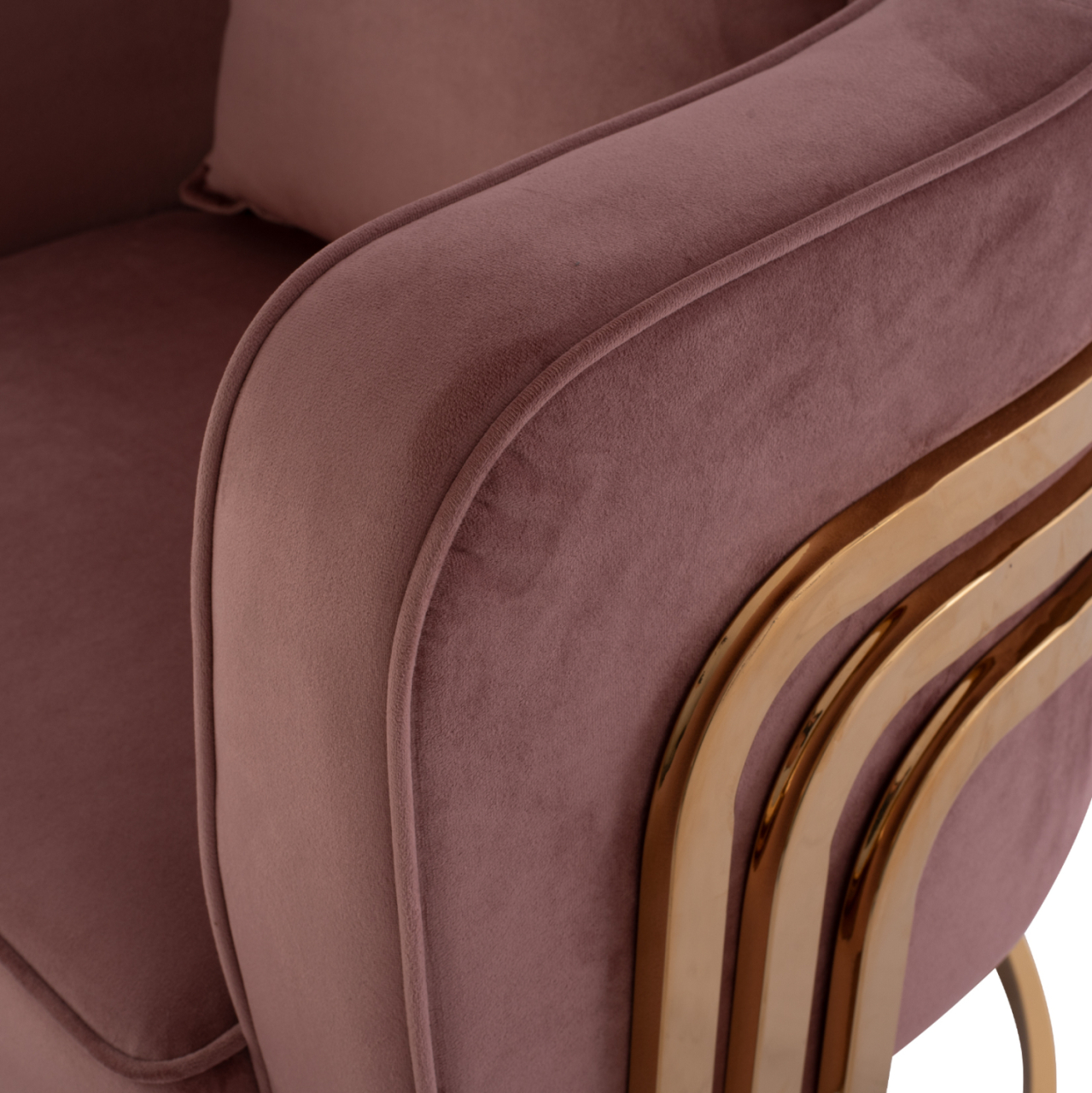 TIANA ARMCHAIR WITH GOLD METAL FRAME AND LOW BACK HM8738.02 [10]