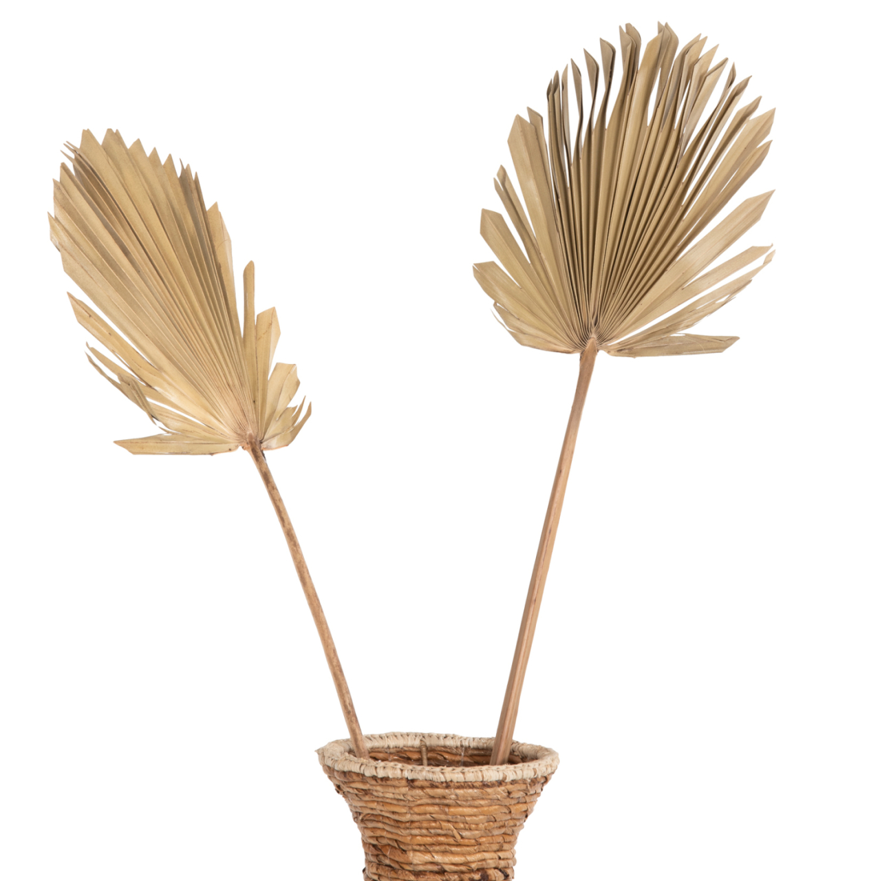WALL DECOR HM7876 DRIED PALM LEAF IN NATURAL COLOR 30x102x3 cm. [7]