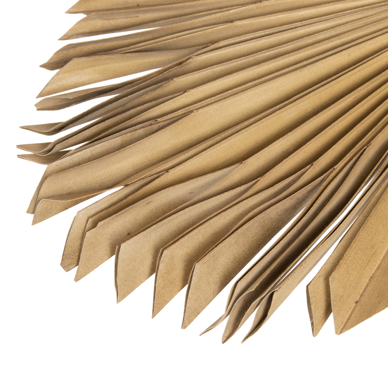 WALL DECOR HM7876 DRIED PALM LEAF IN NATURAL COLOR 30x102x3 cm. [5]